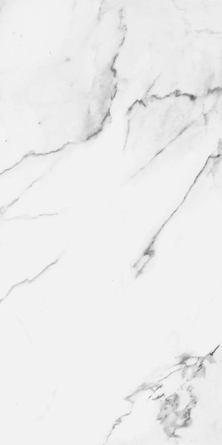 Eurostone Bodenfliese Feinsteinzeug Carrara glasiert matt 30 x 60 cm