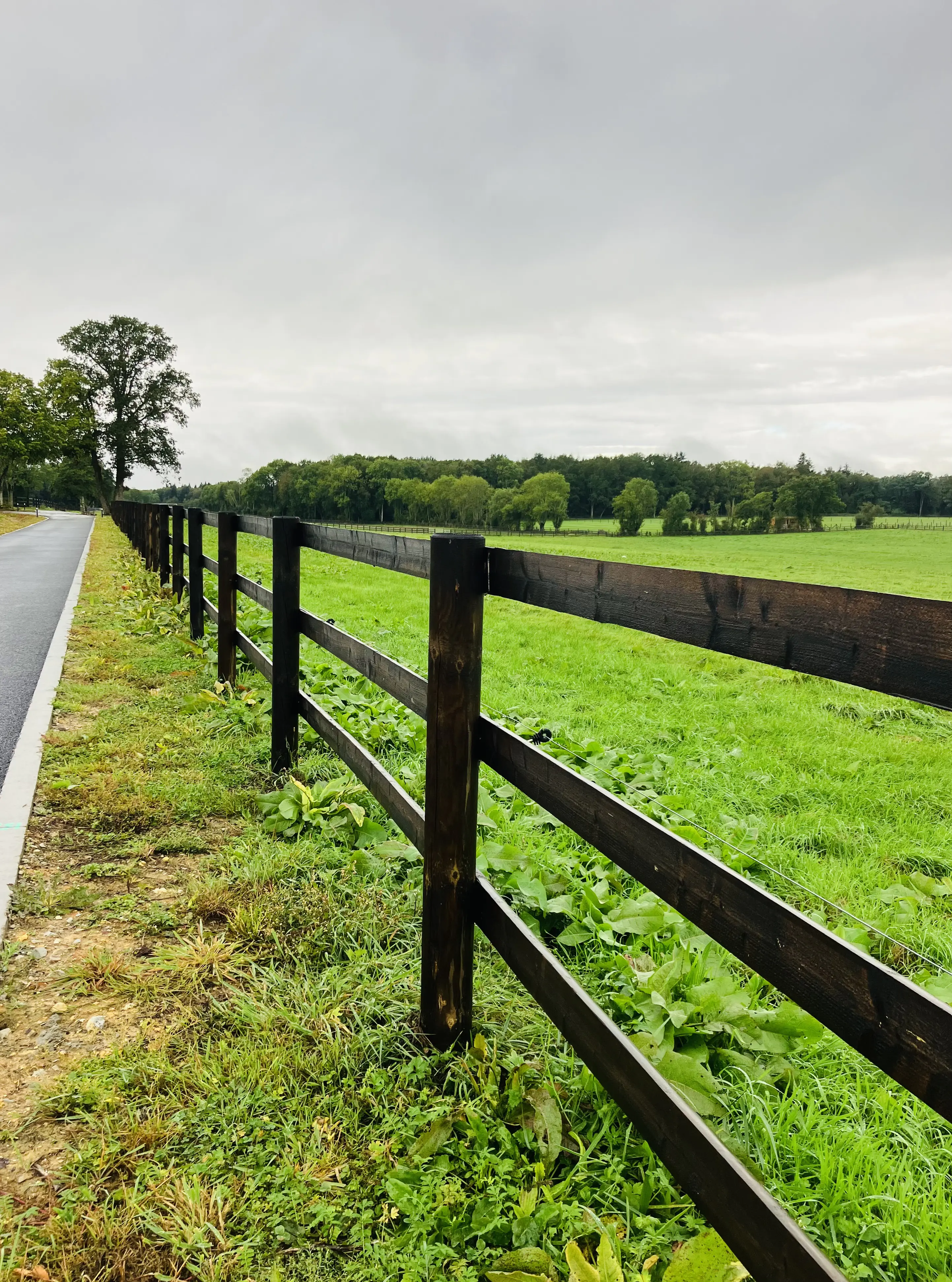 Rundpfahl Koppelzaun 2-reihig Höhe 148-160 cm 204 lfm