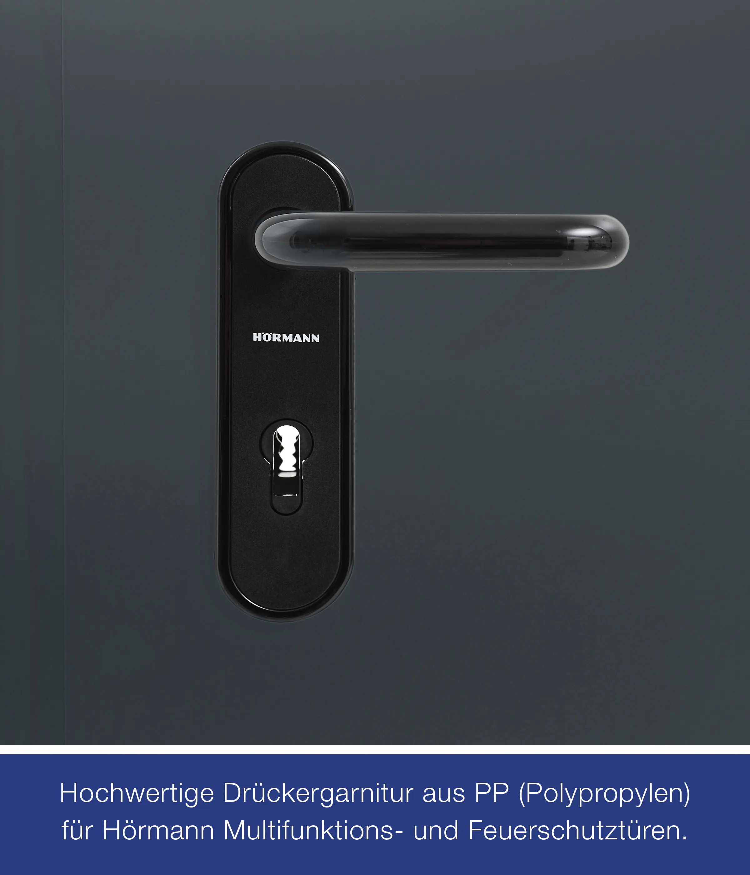 Hörmann Kellertür anthrazitgrau 100 x 200 cm Links/Rechts