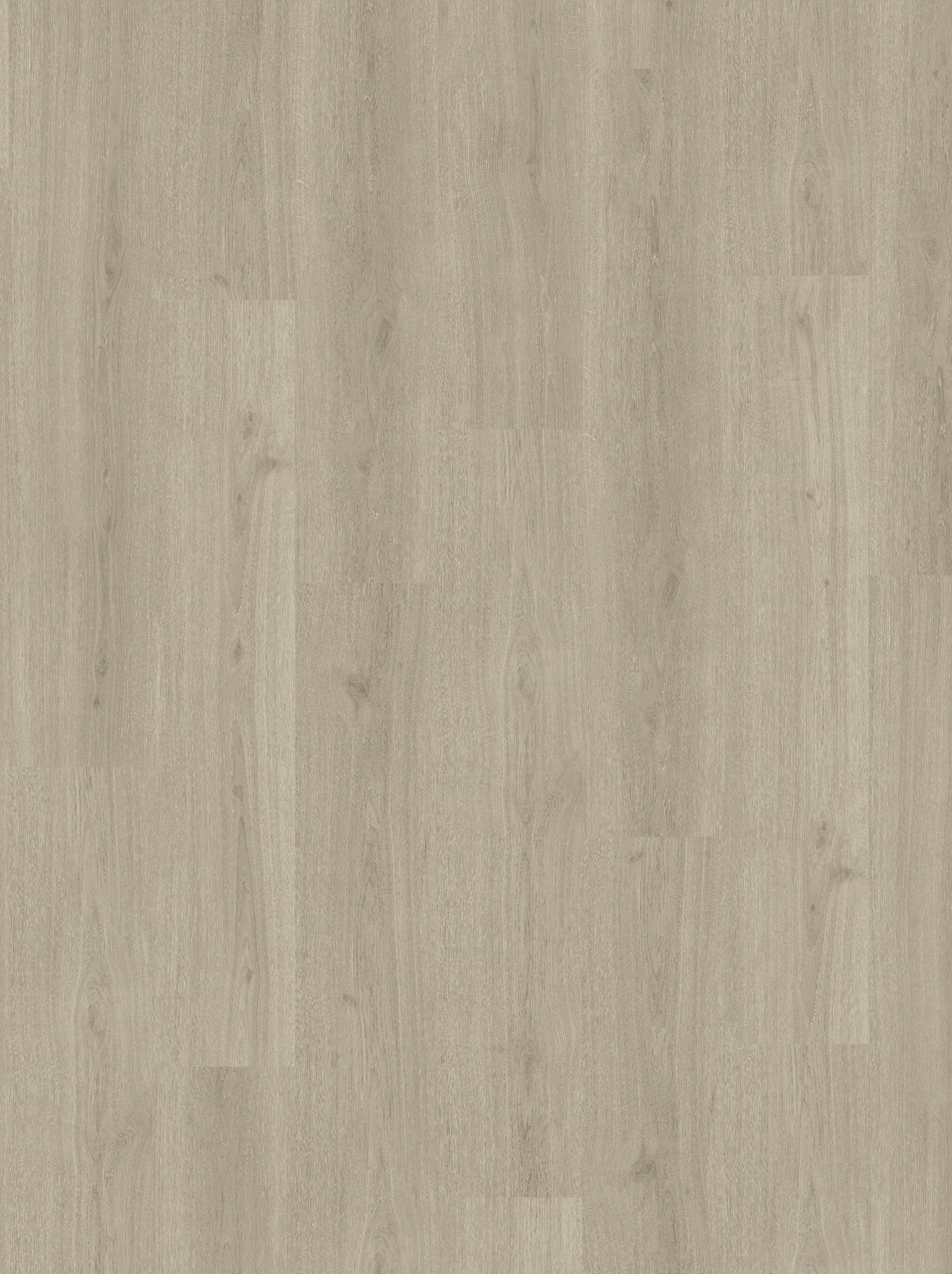 Parador Vinylboden mit Trillschalldämmung Basic 30 Eiche regent grau Parador Vinylboden mit Trillschalldämmung Basic 30 Eiche regent grau