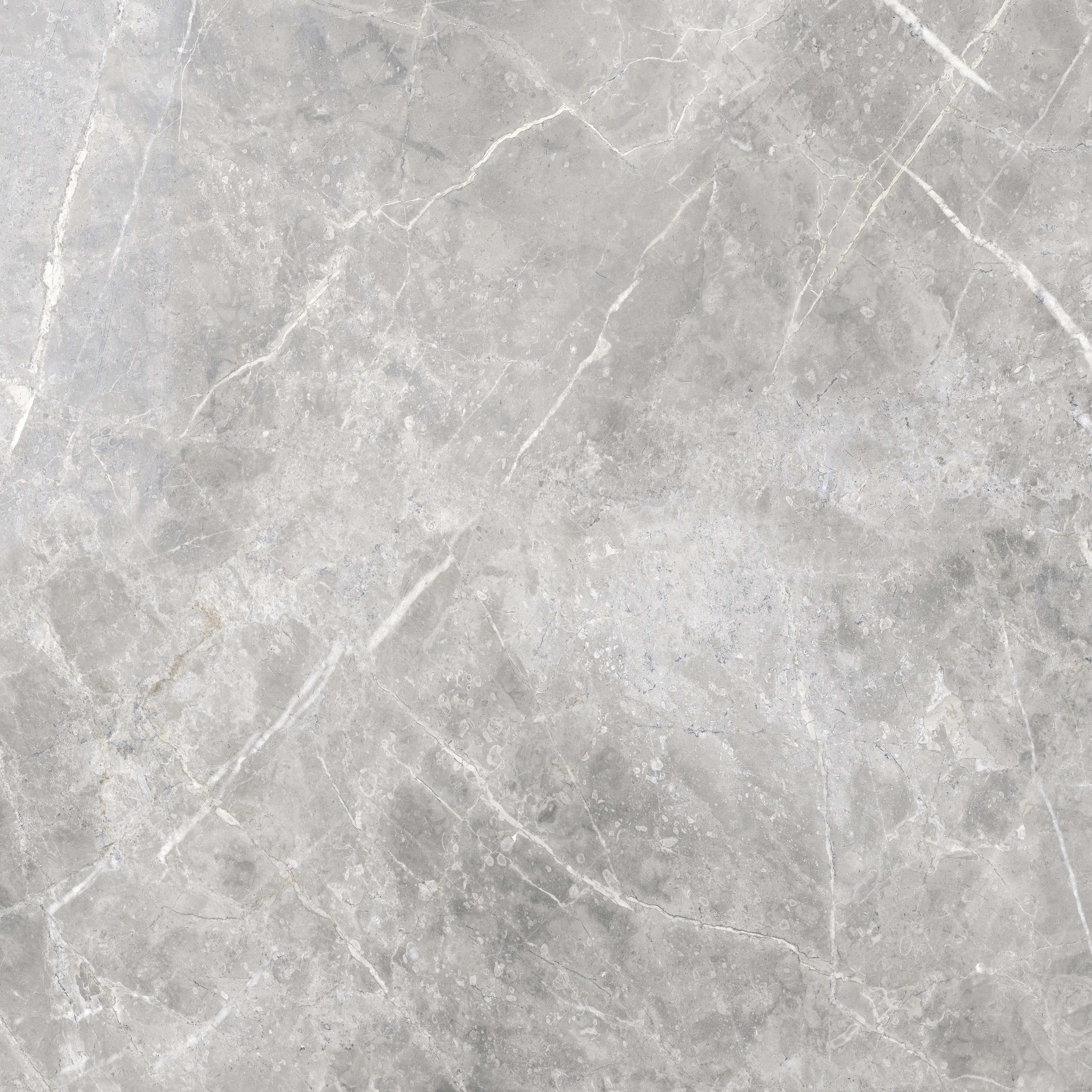 Bodenfliese Feinsteinzeug Marmori 60 x 60 cm greige Bodenfliese Feinsteinzeug Marmori 60 x 60 cm greige