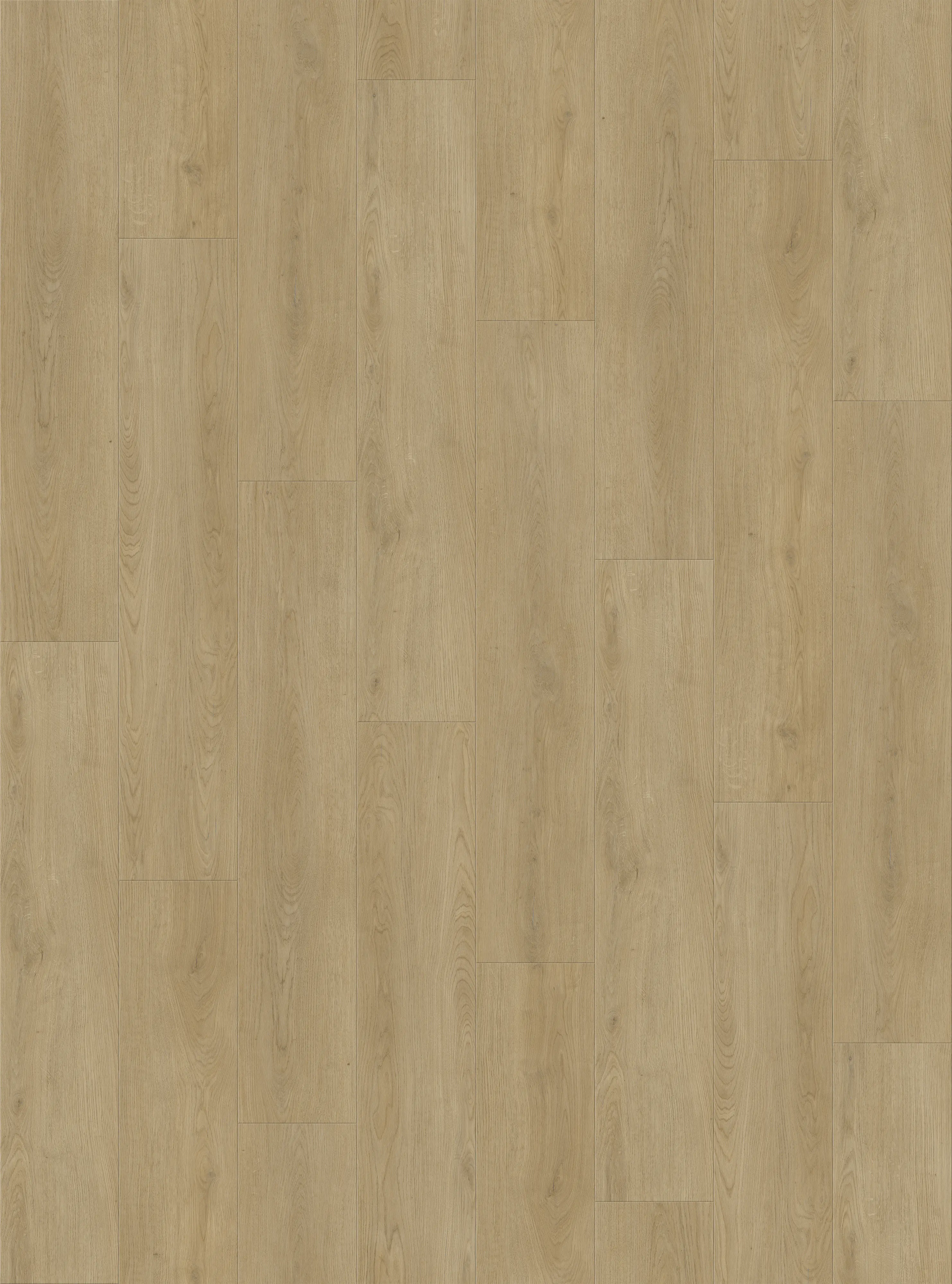 Decoflooring Vinylboden mit Trittschalldämmung Eiche Nova Nordic