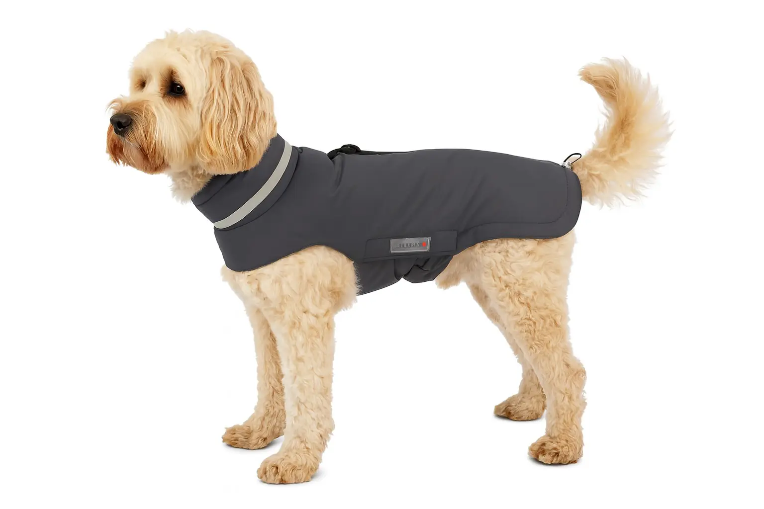 Wolters Hundebekleidung Outdoorjacke Modern Classic anthrazit