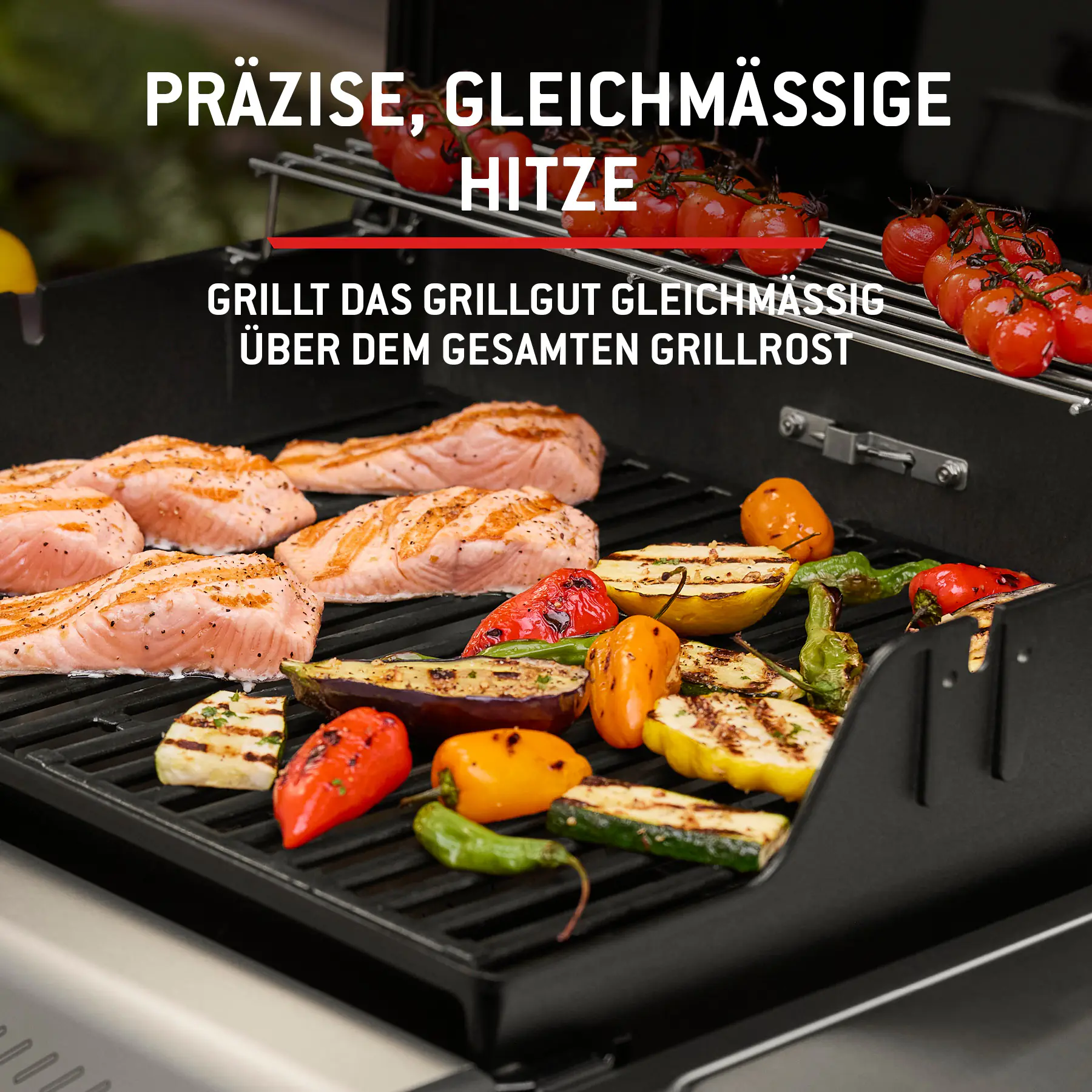 Weber Gasgrill Spirit E210 Grillfläche: 52 x 45 cm 