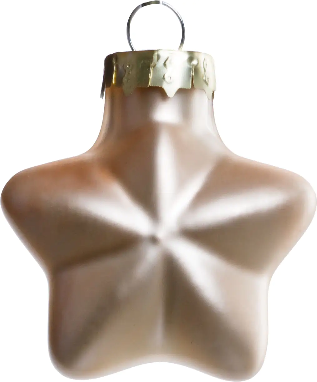 2076601552956_03 TrendLine Weihnachtskugeln Glas-Sterne 4 cm champagner 12 Stück