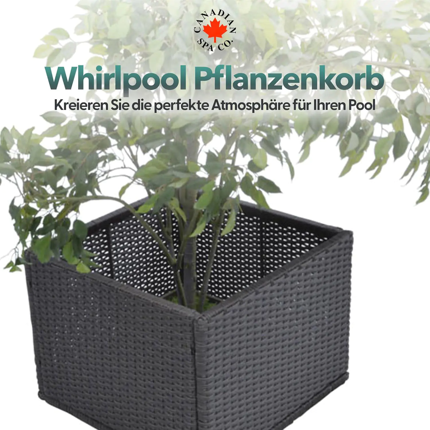 Canadian Spa Pflanzenkorb - für quadratische Whirlpools dunkelbraun Canadian Spa Pflanzenkorb - für quadratische Whirlpools dunkelbraun