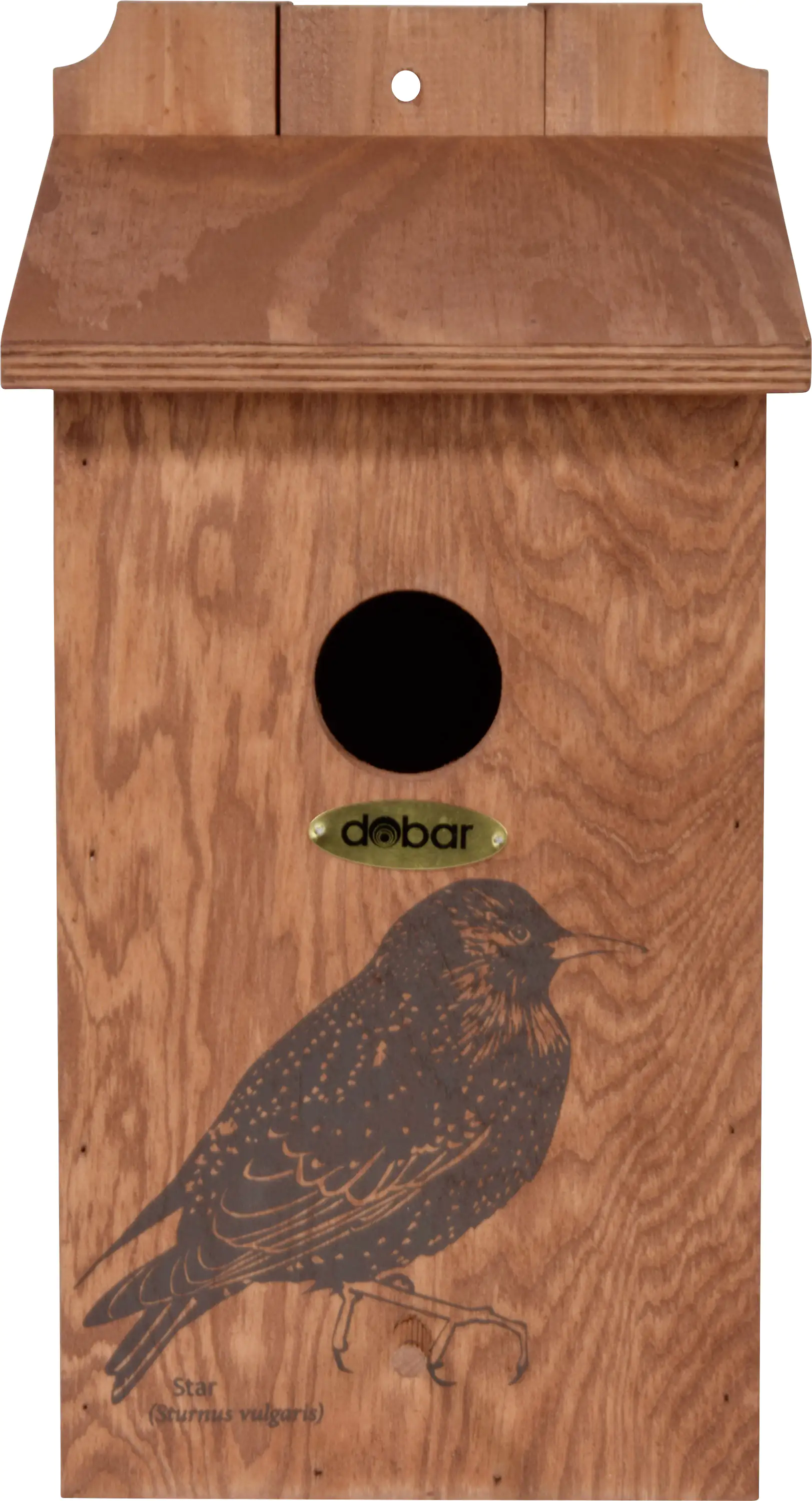 Dobar Nistkasten Star Kiefernholz lasiert LxBxH: 19x20x38 cm