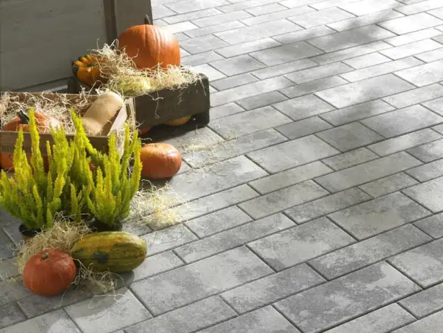 Kann Pflasterstein Parchetto Mehrformat grau- alpin Kann Pflasterstein Parchetto Mehrformat grau- alpin