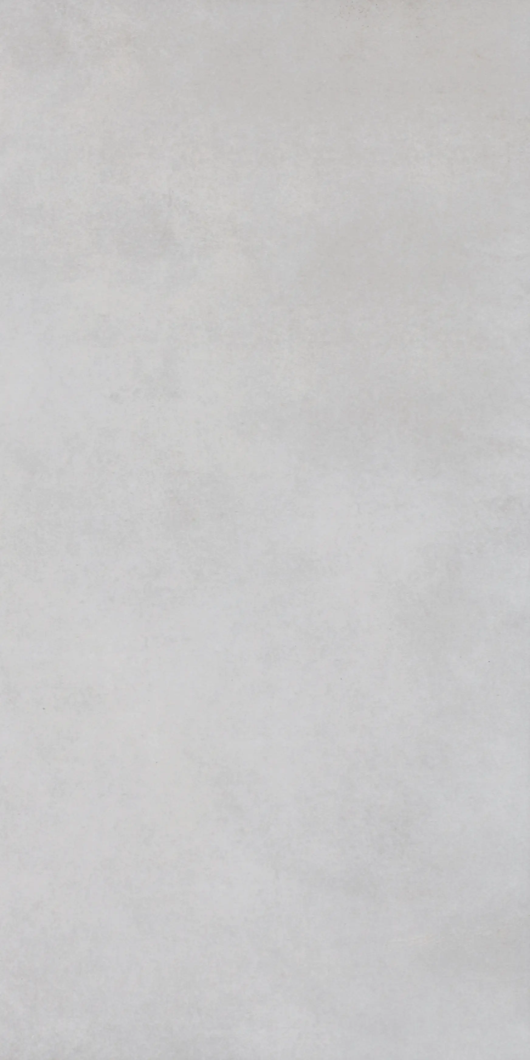 Bodenfliese Feinsteinzeug Batista Dust 60 x 30 cm creme