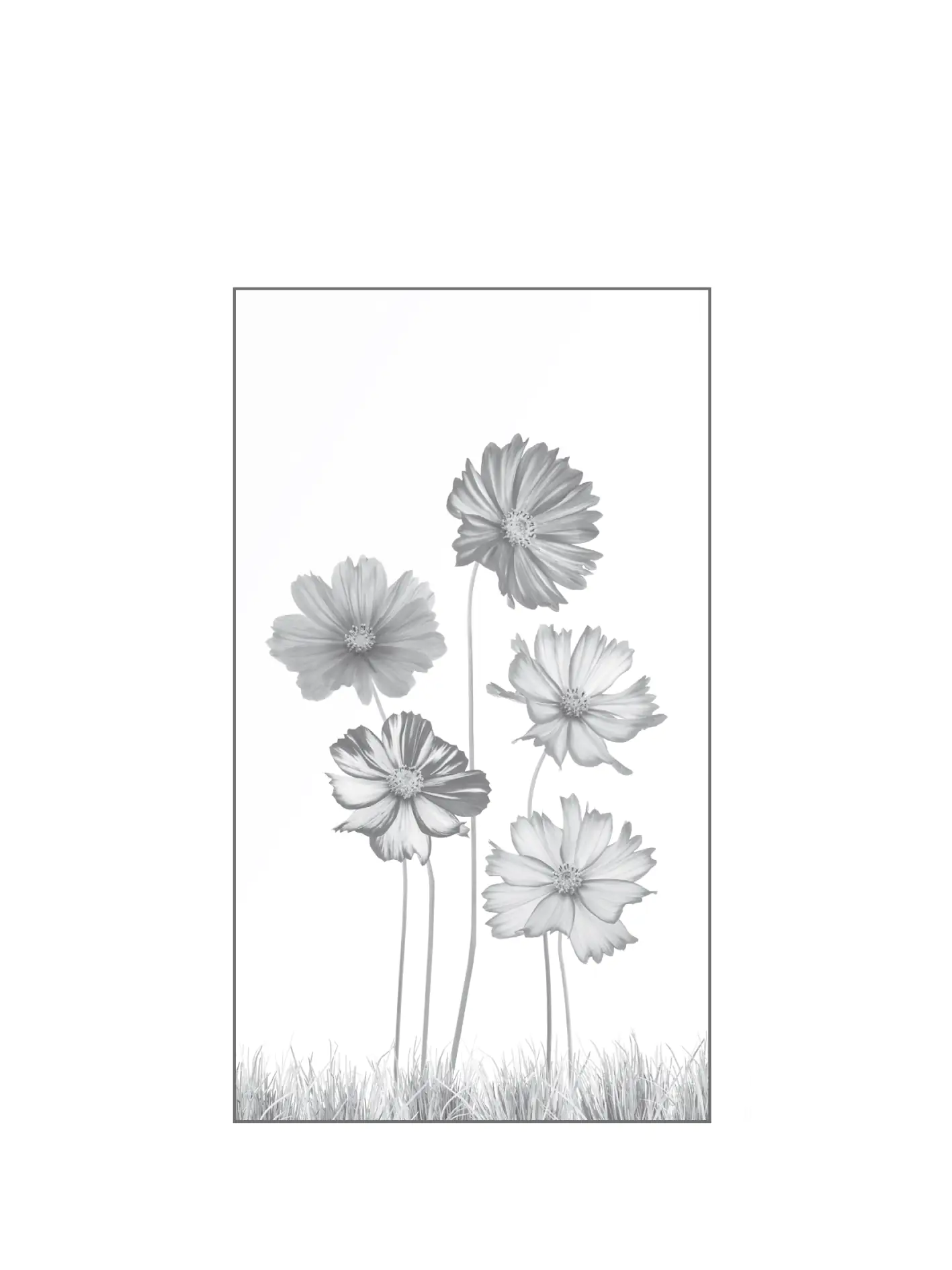 4250189693180_2 Ambiente Glaszaun Dekor 93 103 x 180 cm gehärtetes 8 mm Glas