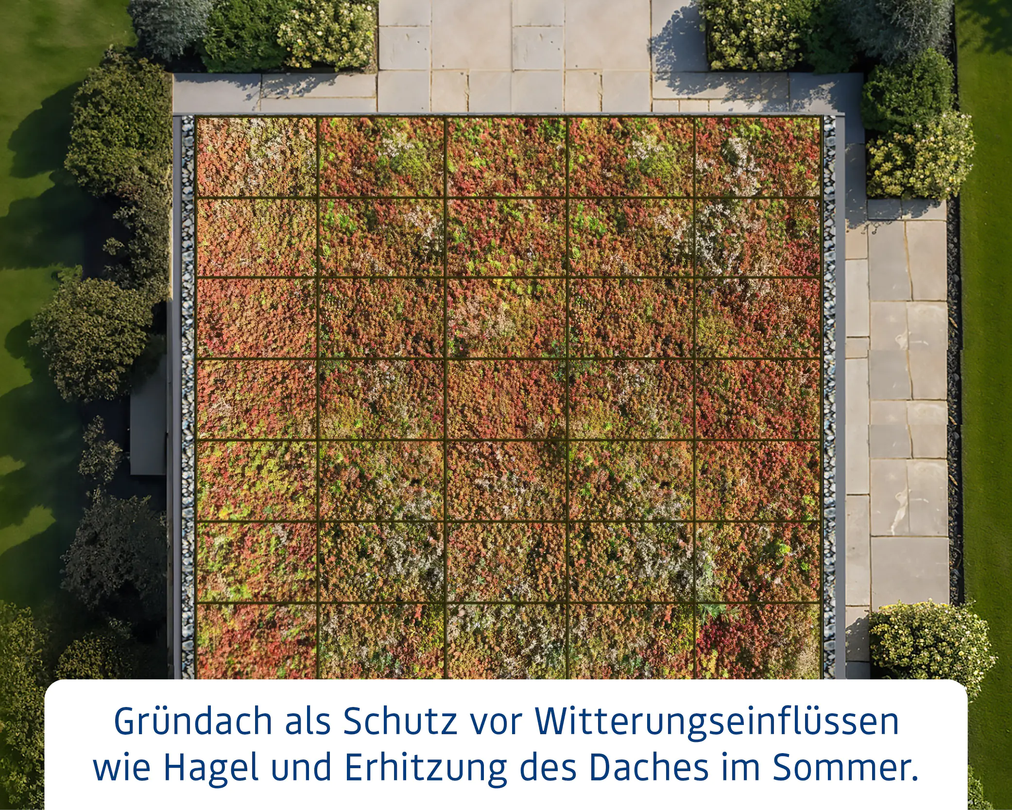 EcoStar Dachrahmen für Gründach Pultdach Typ 1 grau EcoStar Dachrahmen für Gründach Pultdach Typ 1 grau