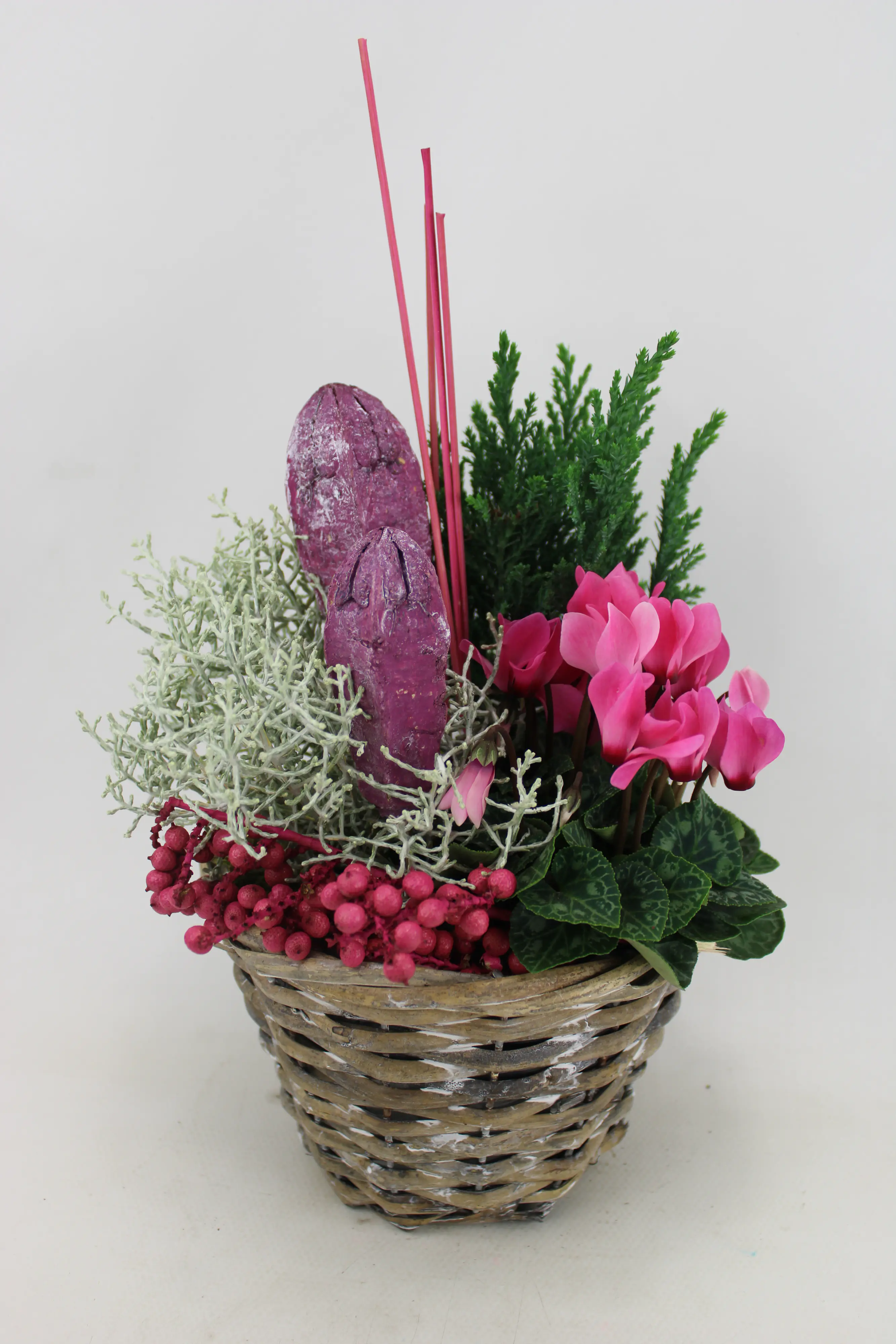 Arrangement Korb Cyclame mit Deko 16 cm 