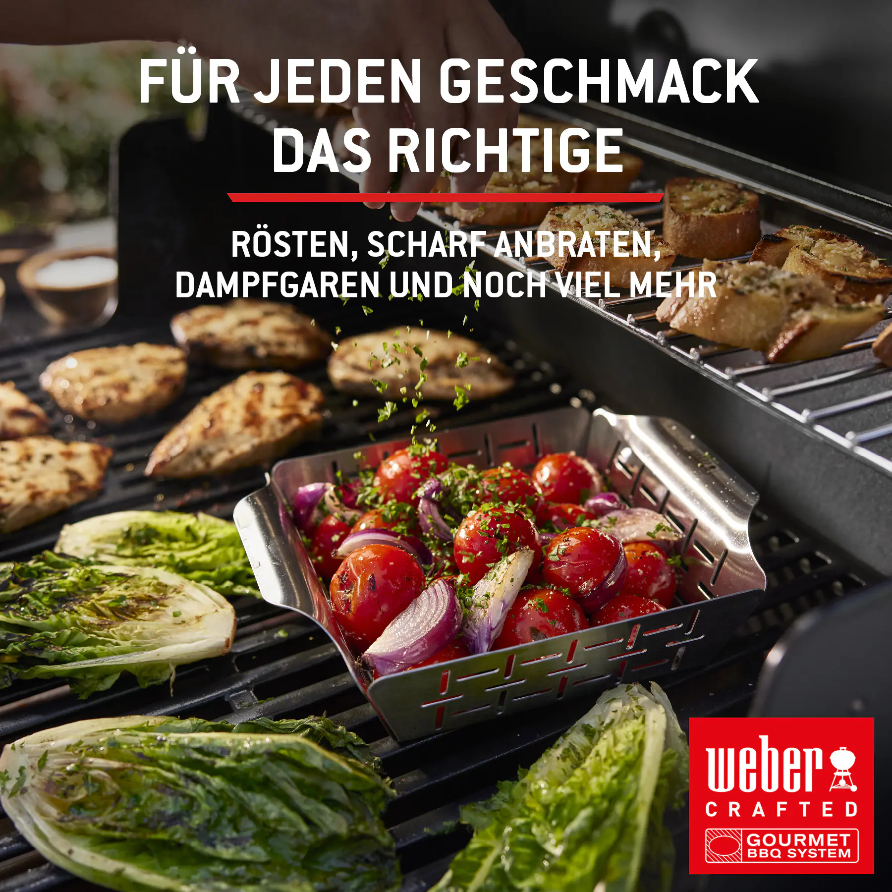 Weber Gasgrill Spirit E210 Grillfläche: 52 x 45 cm 