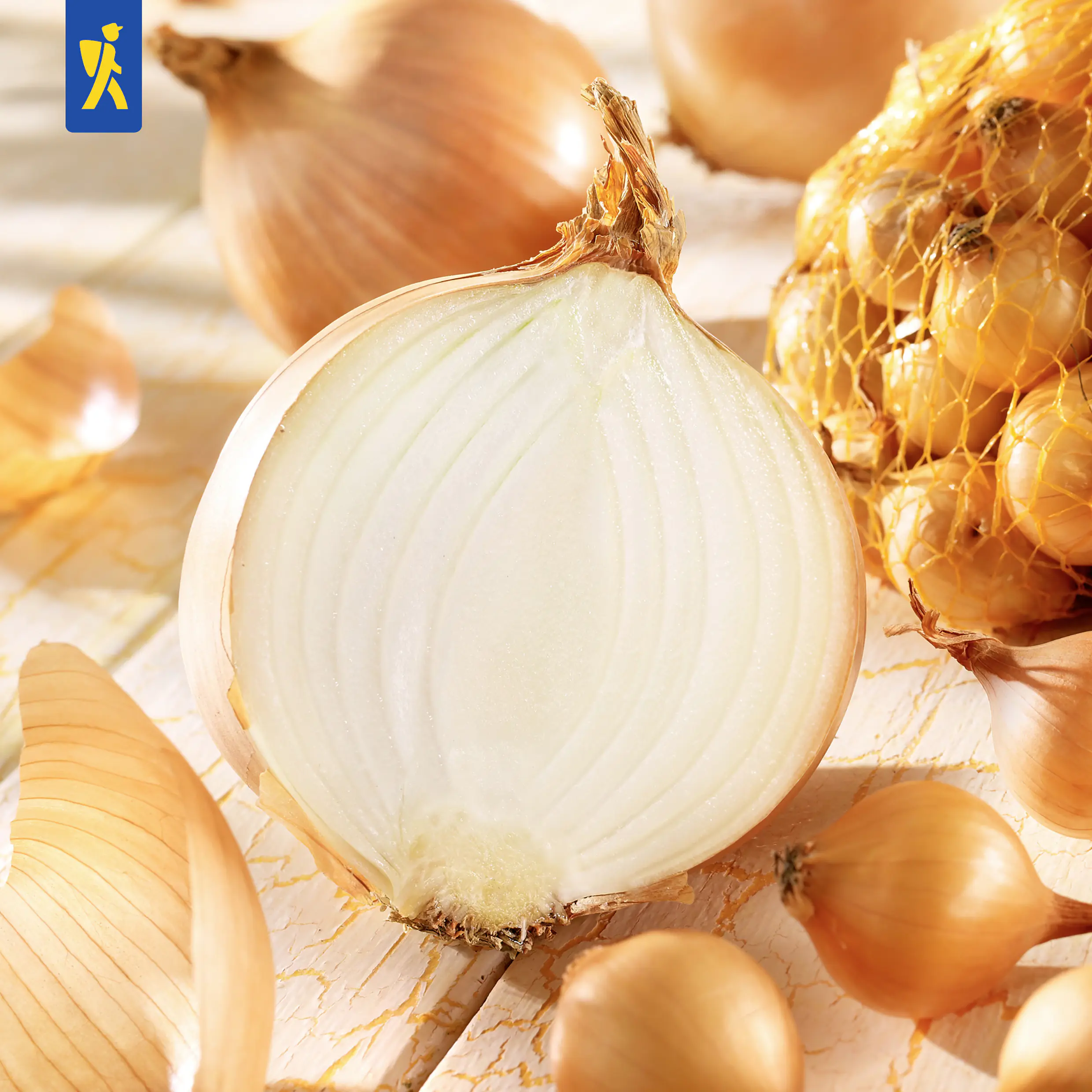 Kiepenkerl Steckzwiebel Stuttgarter Riesen Gr.14/24, 250 g