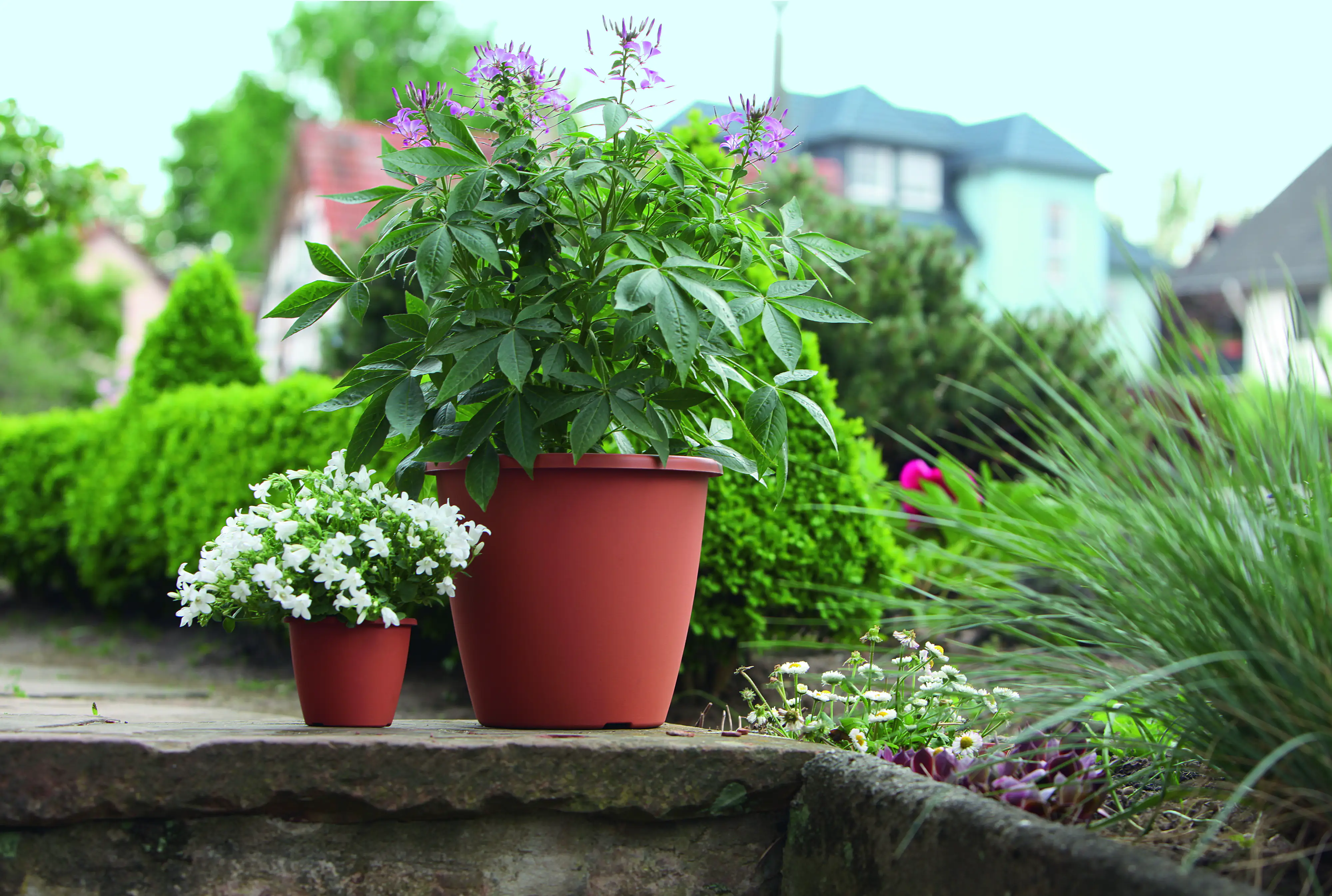 Geli Blumentopf Nevada Ø 35 cm terracotta