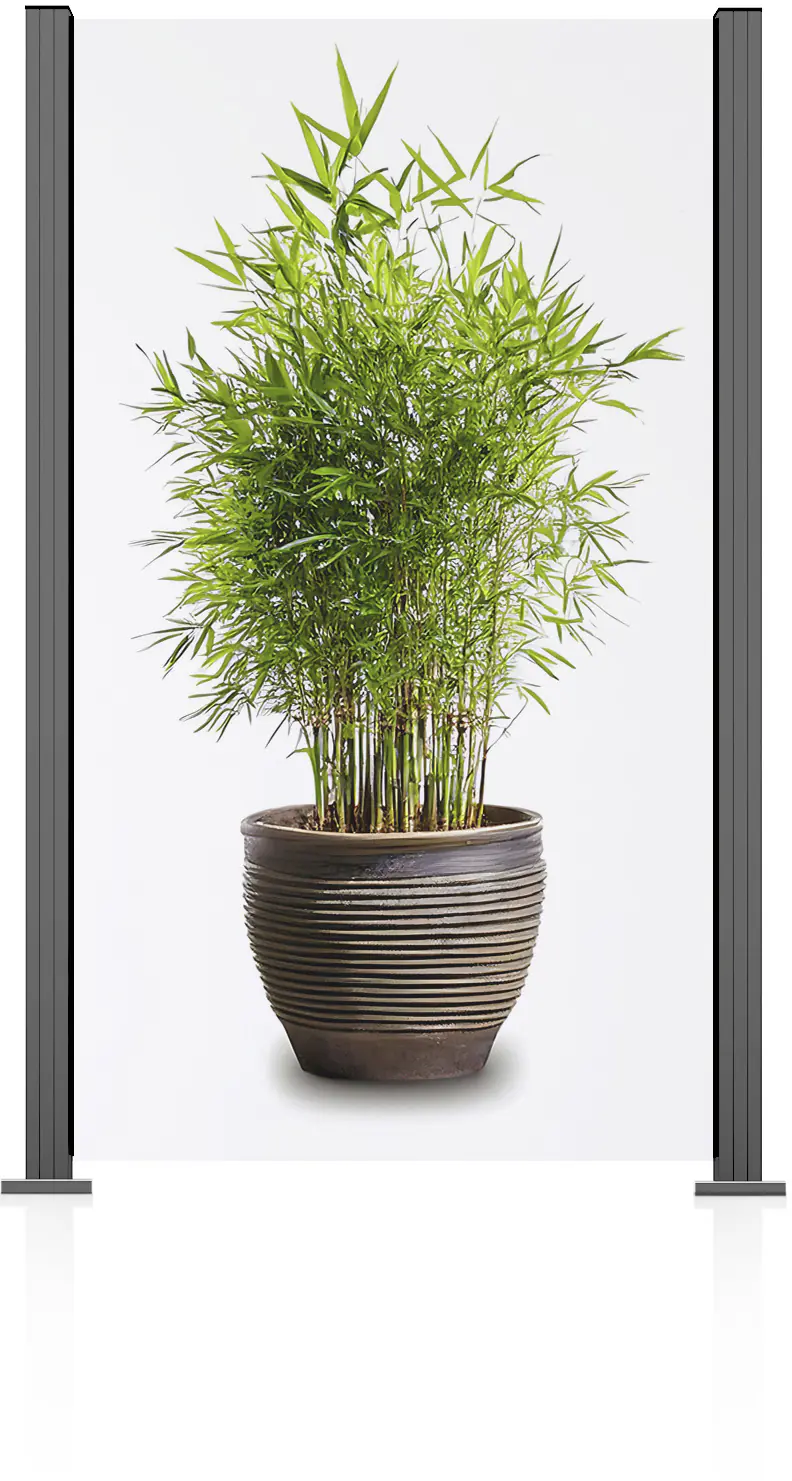 Ambiente Glaszaun Grundset Klarglas 187 x 107,2 cm grau Ambiente Glaszaun Grundset Klarglas 187 x 107,2 cm grau