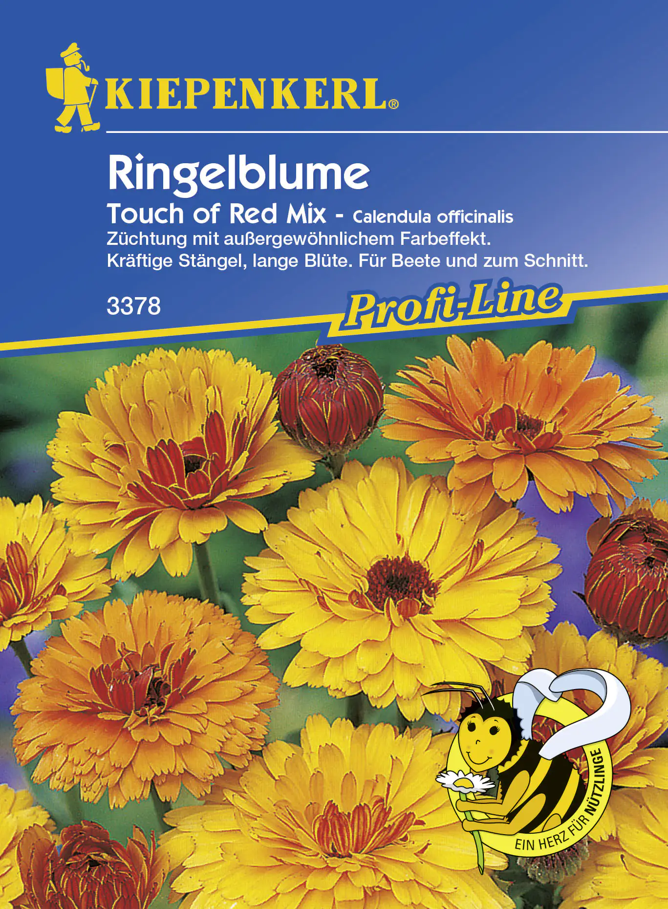 Kiepenkerl Ringelblume Touch Of Red Calendula officinalis, Inhalt ca