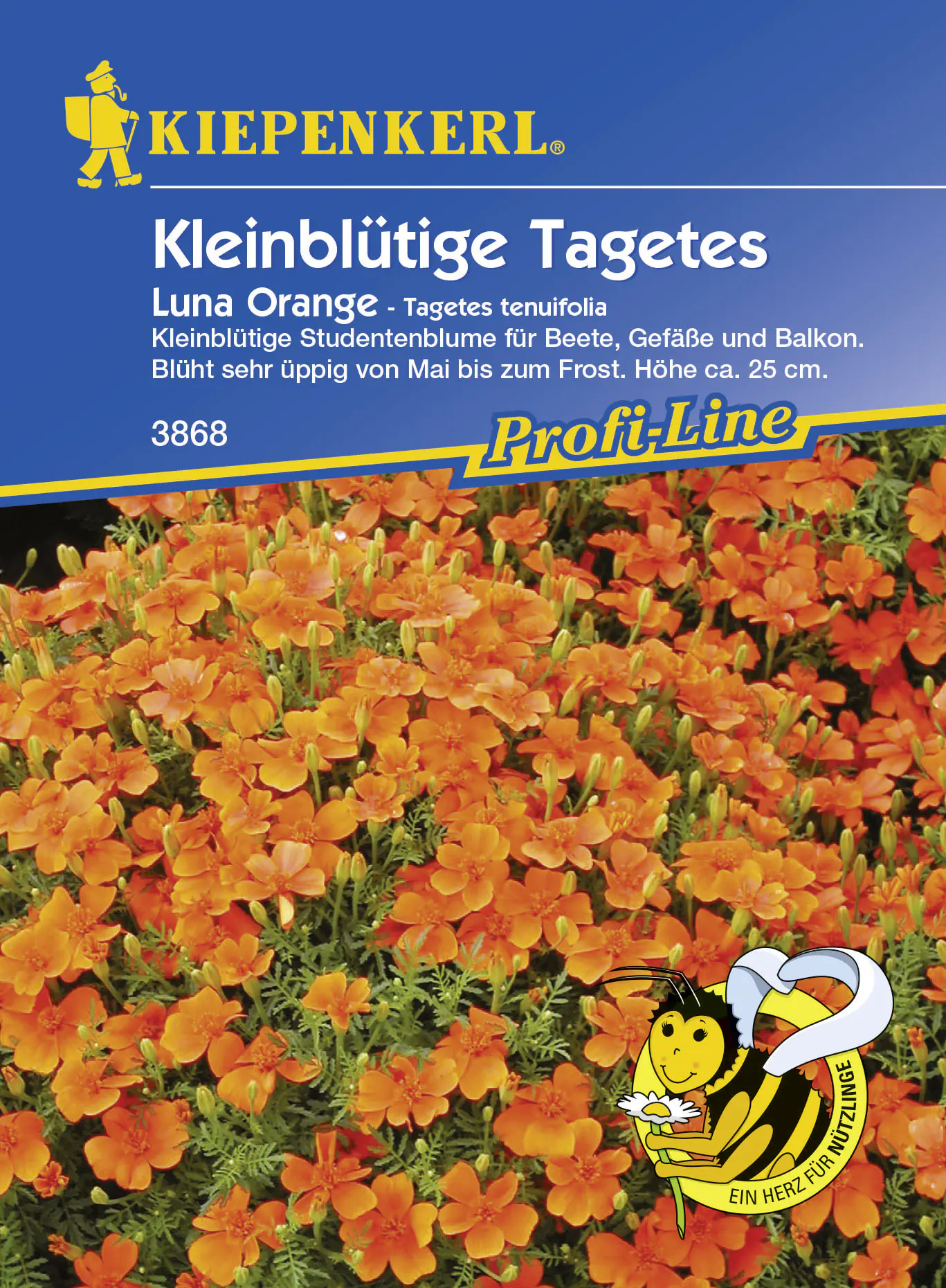 Kiepenkerl Studentenblume Luna (Gem) Orange Tagetes tenuifolia, Inhalt: ca. 80 Pflanzen