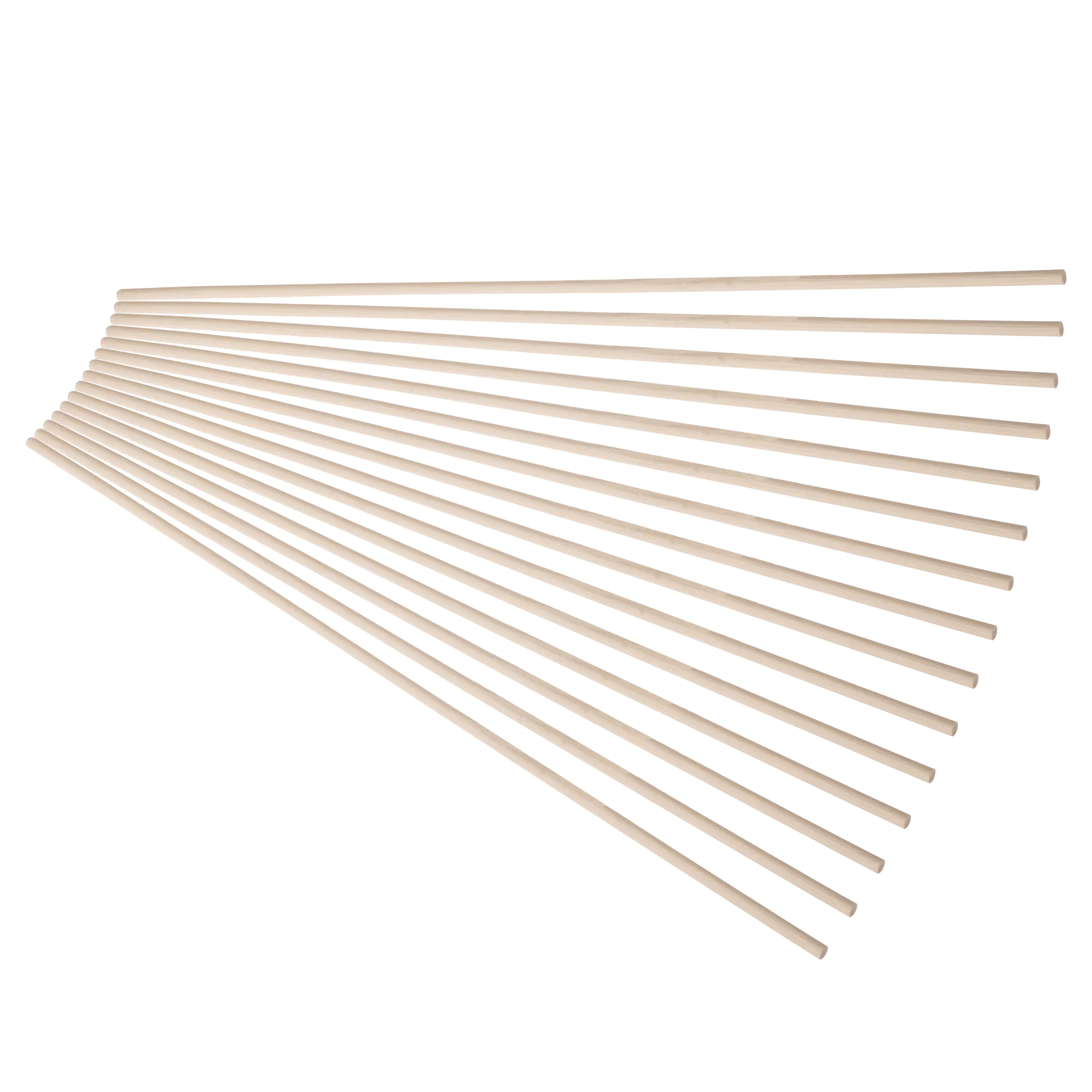 TrendLine Pflanzstab Bambus 40 cm