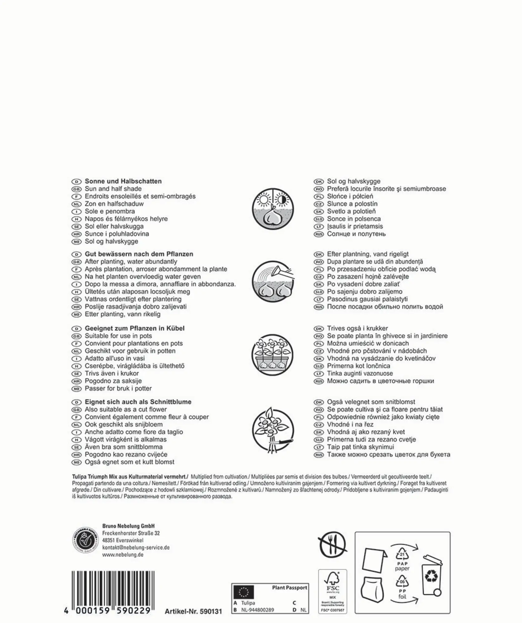 Pegasus Herbstblumenzwiebel Big Bag Triumph Tulpe Mischung 32 Stück