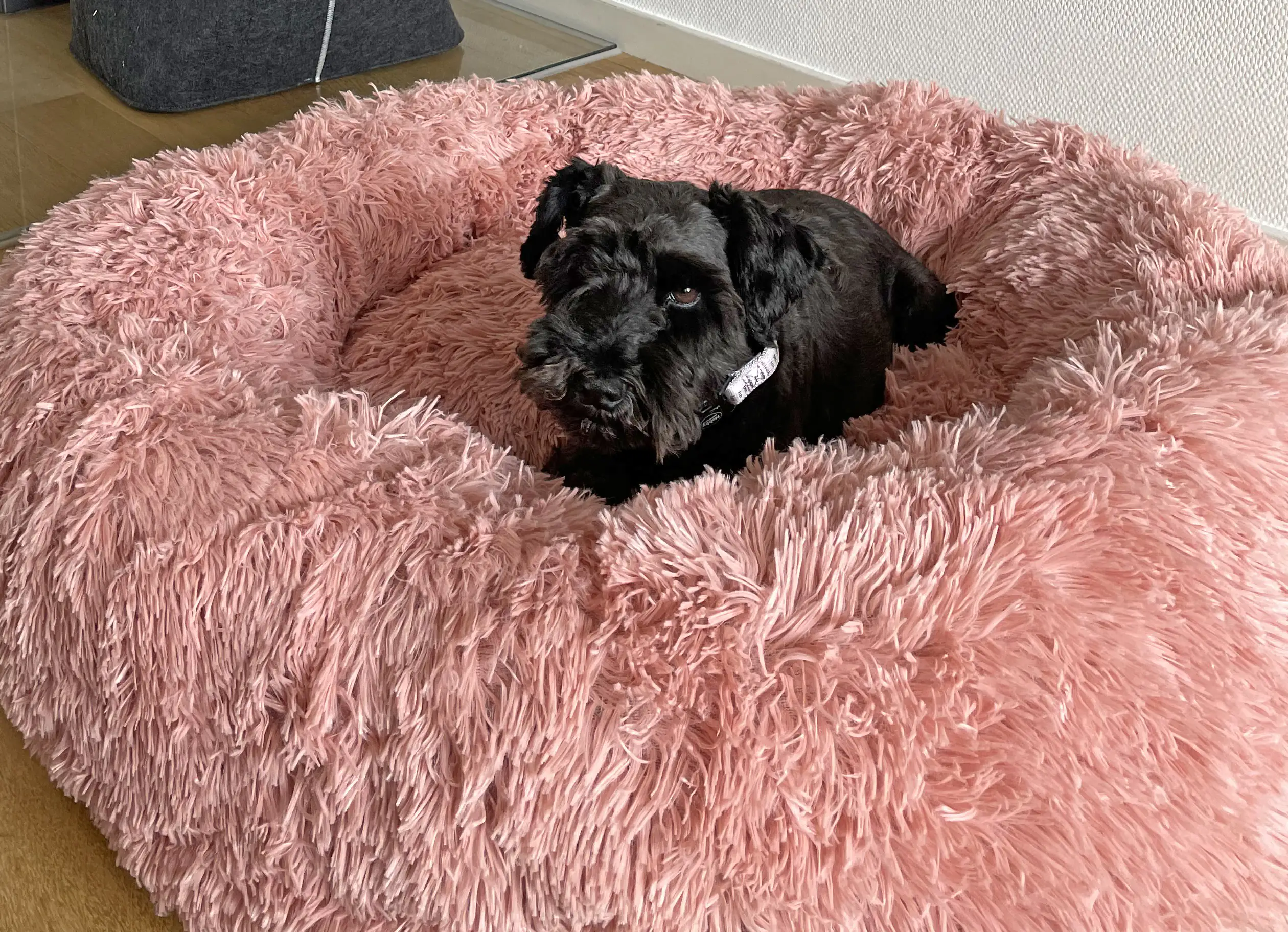 Nobby Kuschelbett Donut Classic Esla altrosa