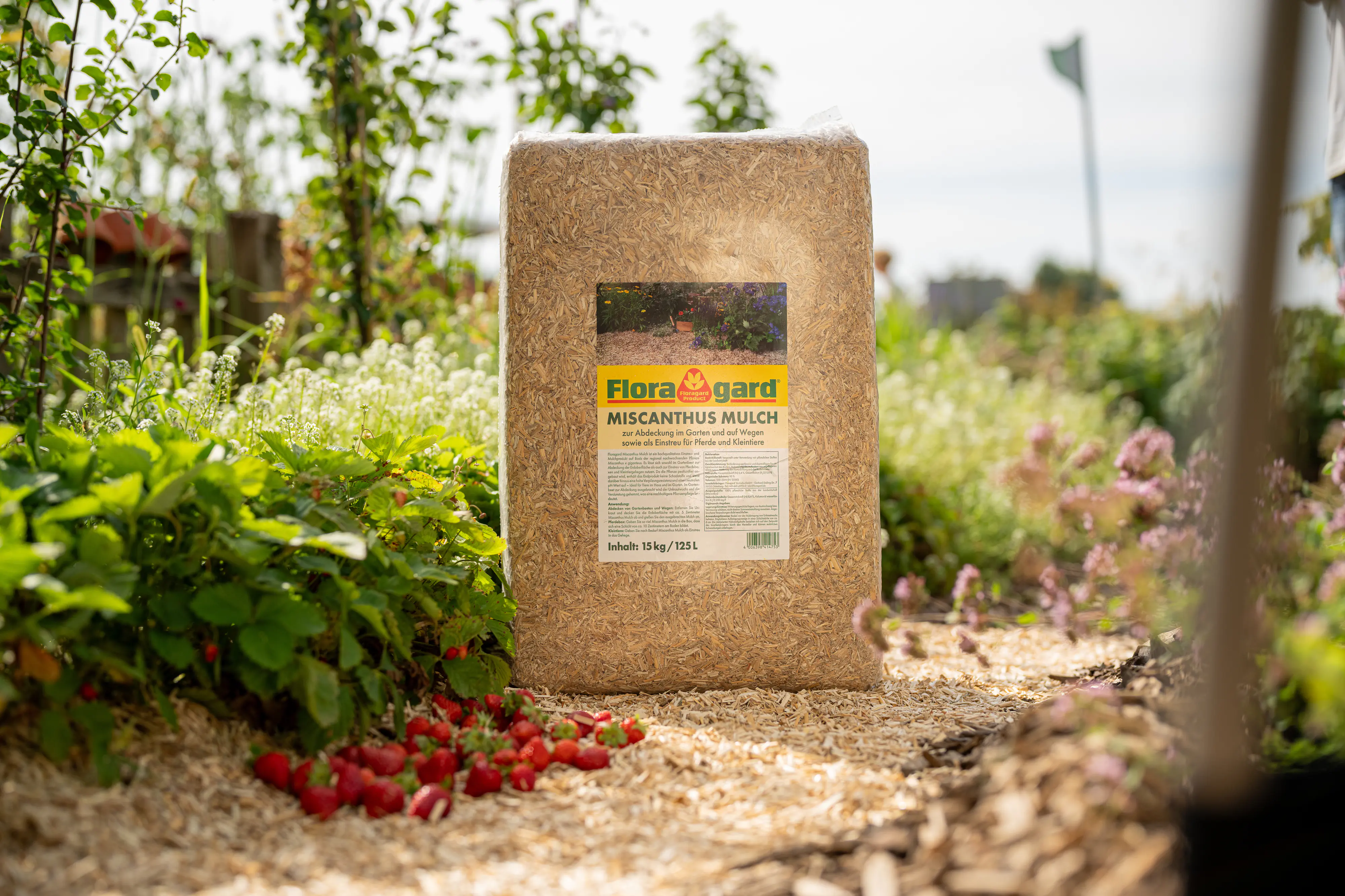 Floragard natürlicher Unkrautschutz Miscanthus Mulch 125 L