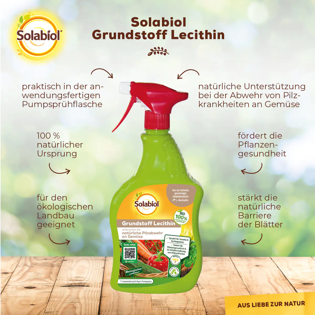 Solabiol Grundstoff Lecithin Spray 1 l