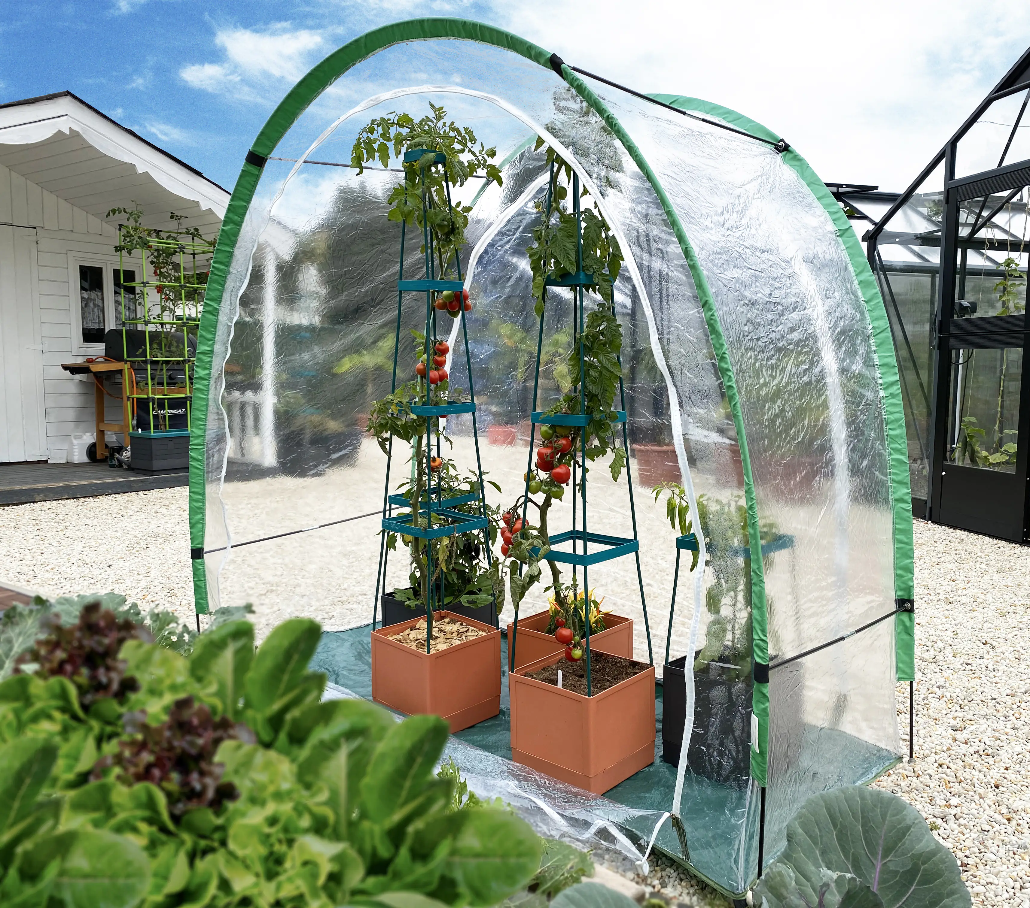 Bio Green Überwinterungszelt Artic 186 x 84 x 175 cm