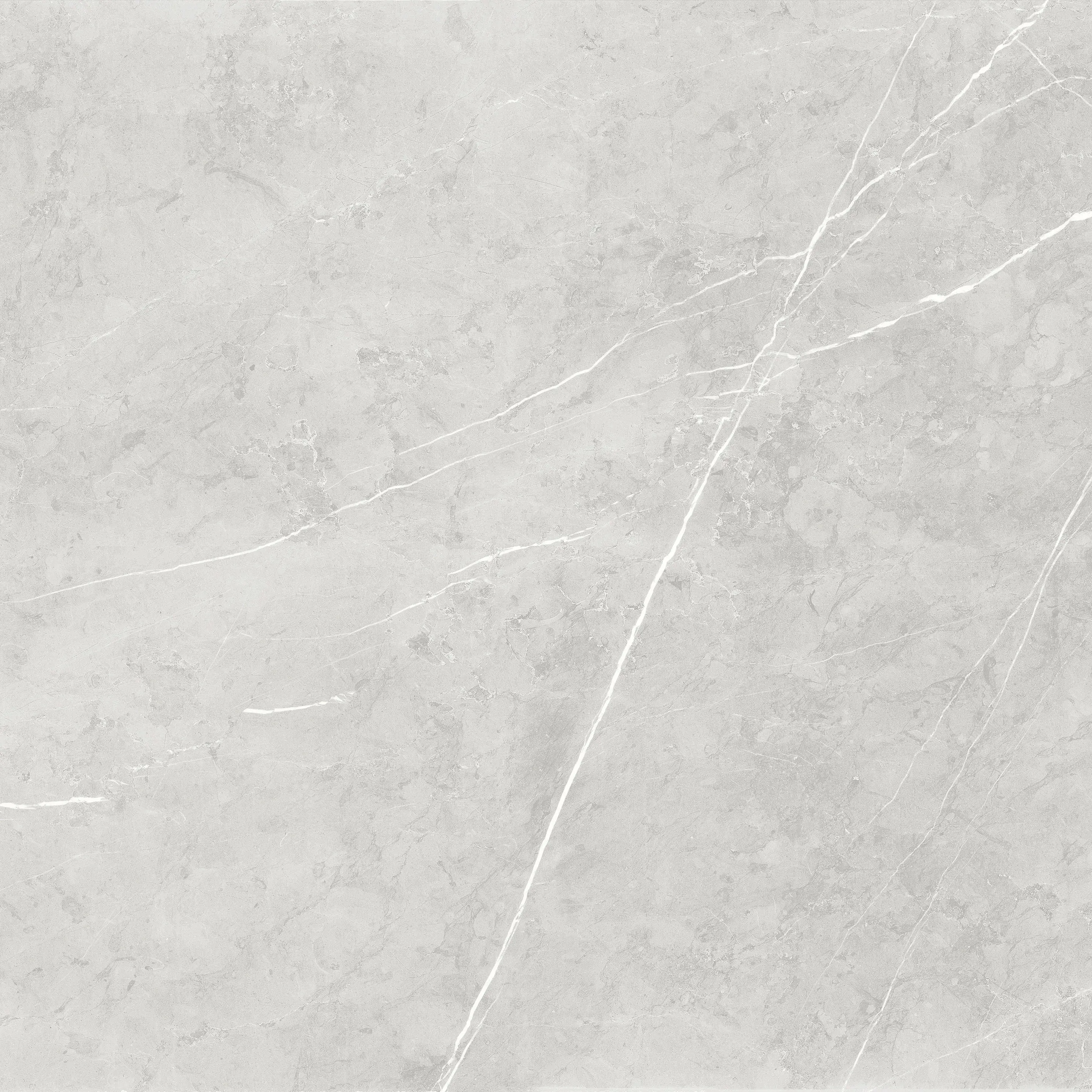 Bodenfliese Feinsteinzeug Ciana 60 x 60 cm grey