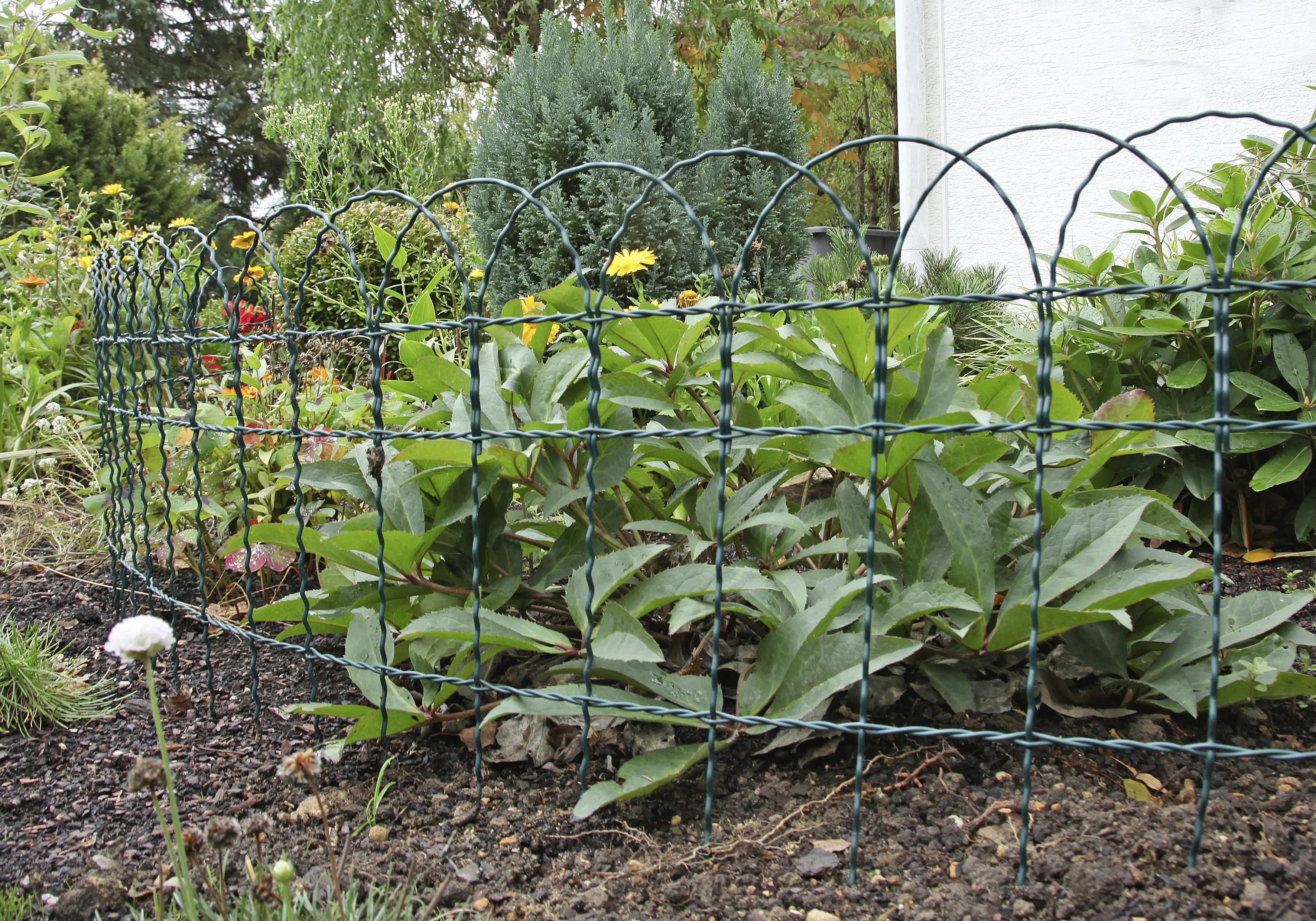 Floraworld Knotengeflecht-Zaun 10 m x 40 cm moosgrün