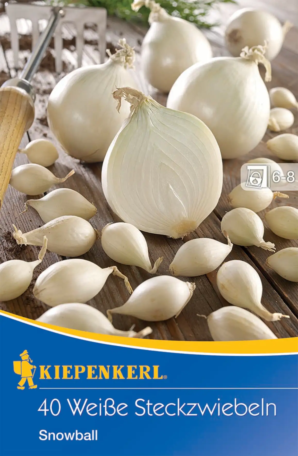 Kiepenkerl Steckzwiebel Snowball Kiepenkerl Steckzwiebel Snowball