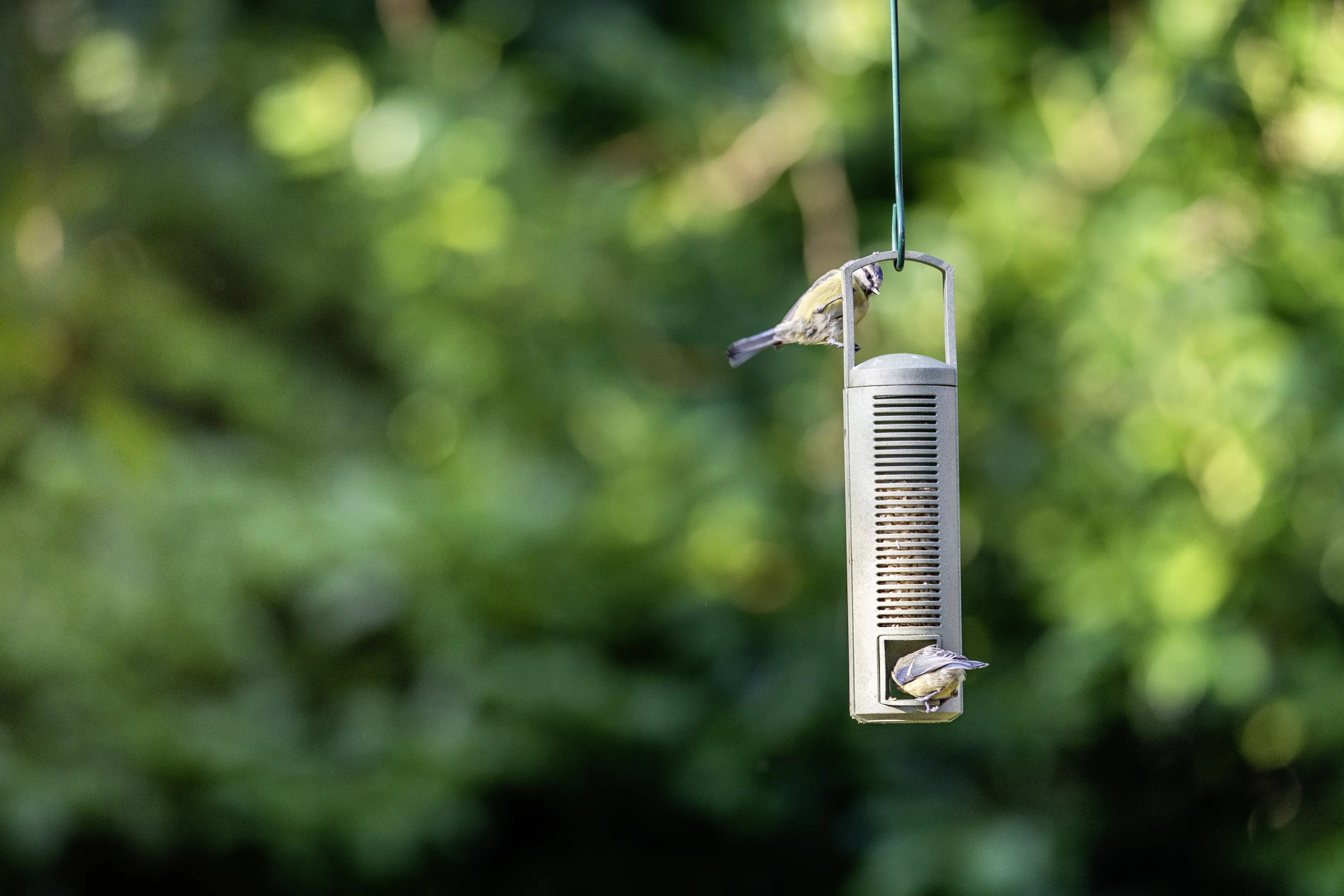 CJ Wildbird Futtersäule für Wildvögel