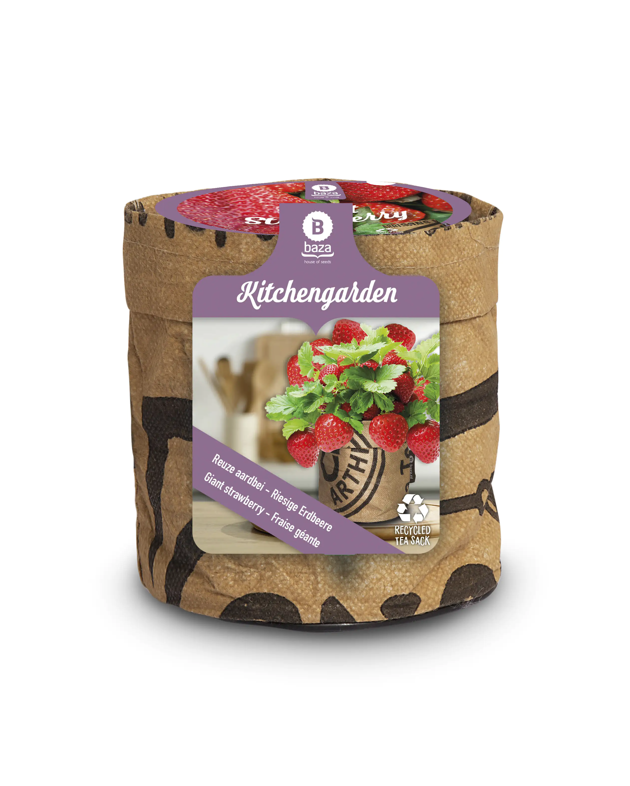 Baza Seeds Kitchengarden riesige Erdbeere Baza Seeds Kitchengarden riesige Erdbeere