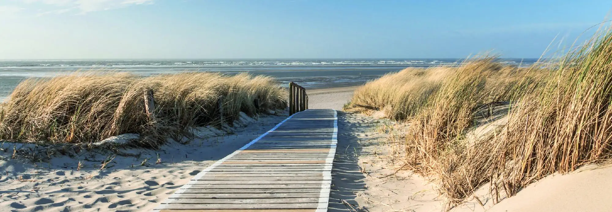 Deco-Panel Bild - Durch die Dünen 155 x 53 cm