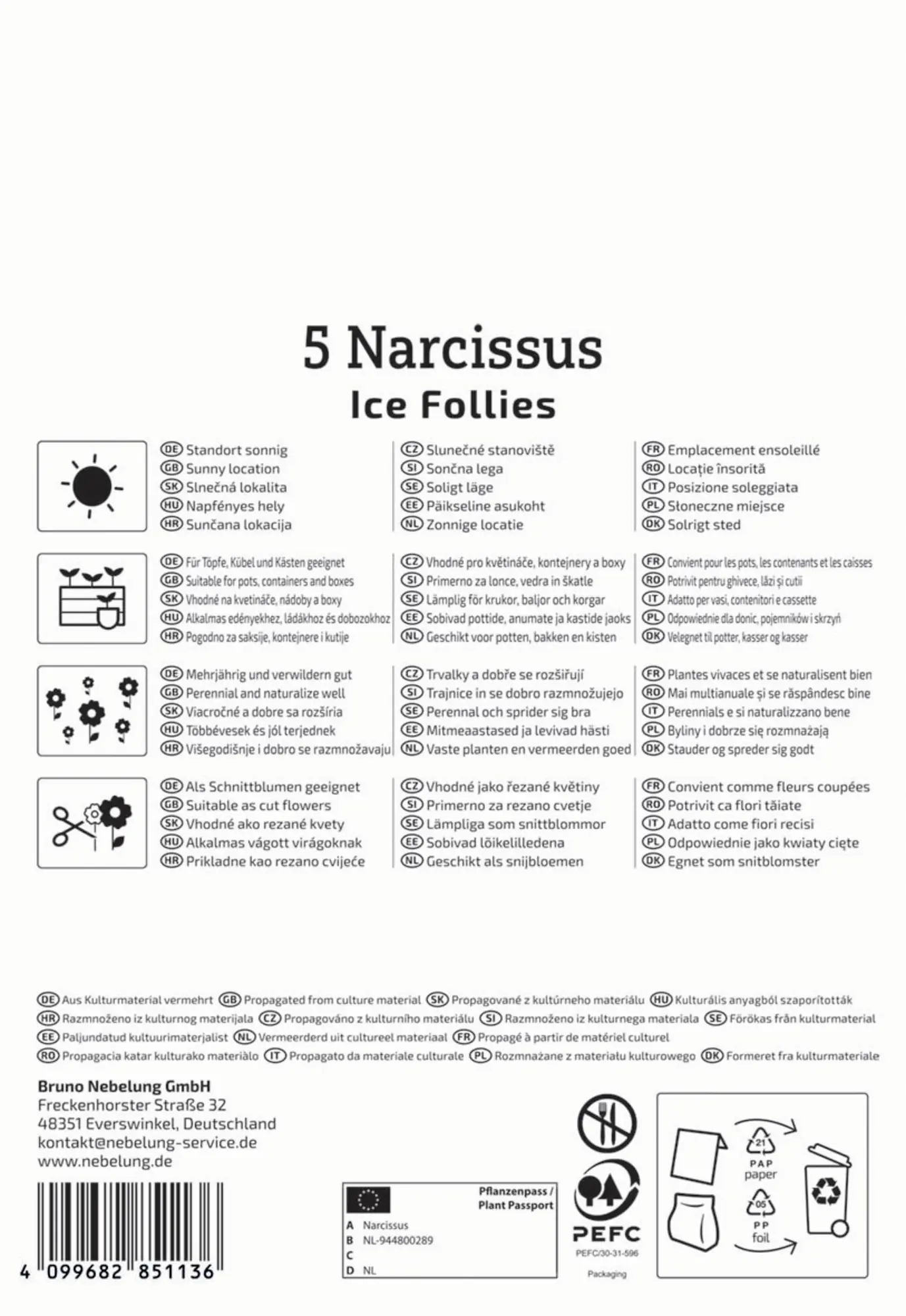 Kiepenkerl Herbstblumenzwiebel Großkronige Narzisse Ice Follies 5 Stück