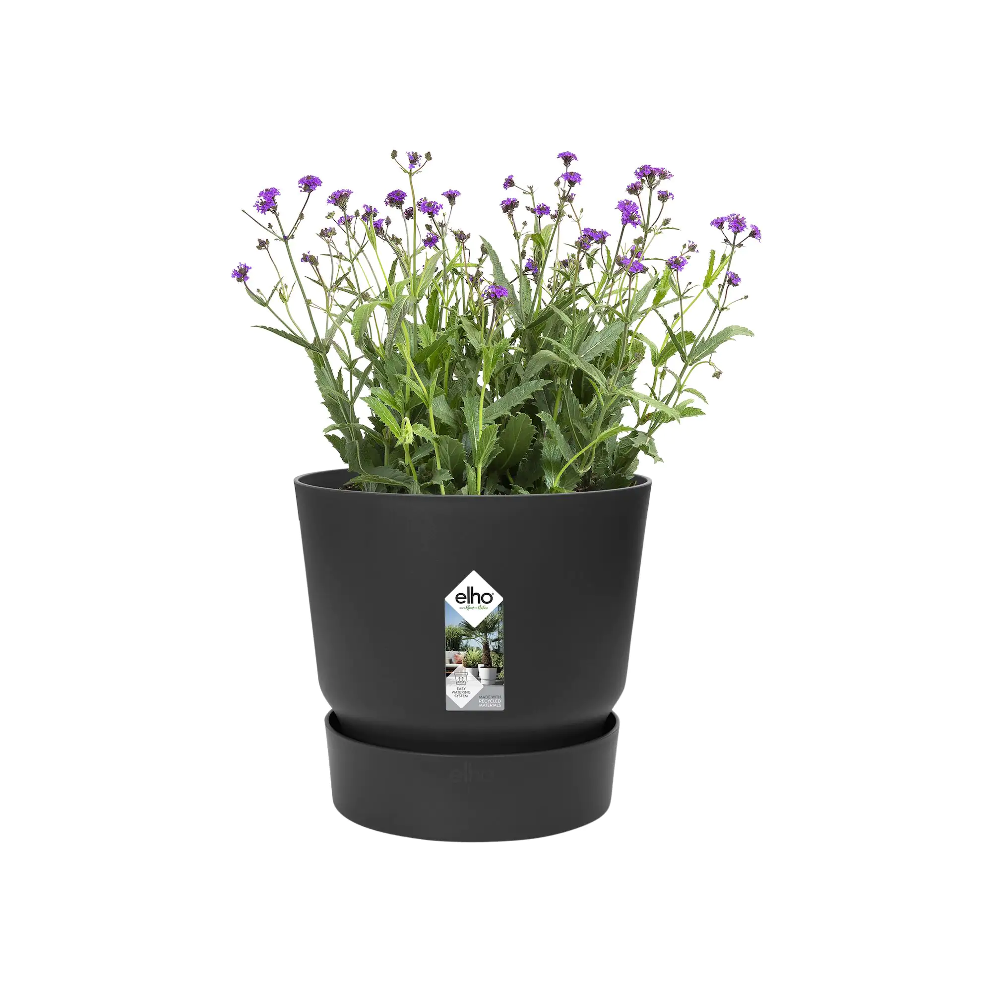 Elho Pflanztopf Greenville Ø 25 x 23 cm living schwarz Elho Pflanztopf Greenville Ø 25 x 23 cm living schwarz