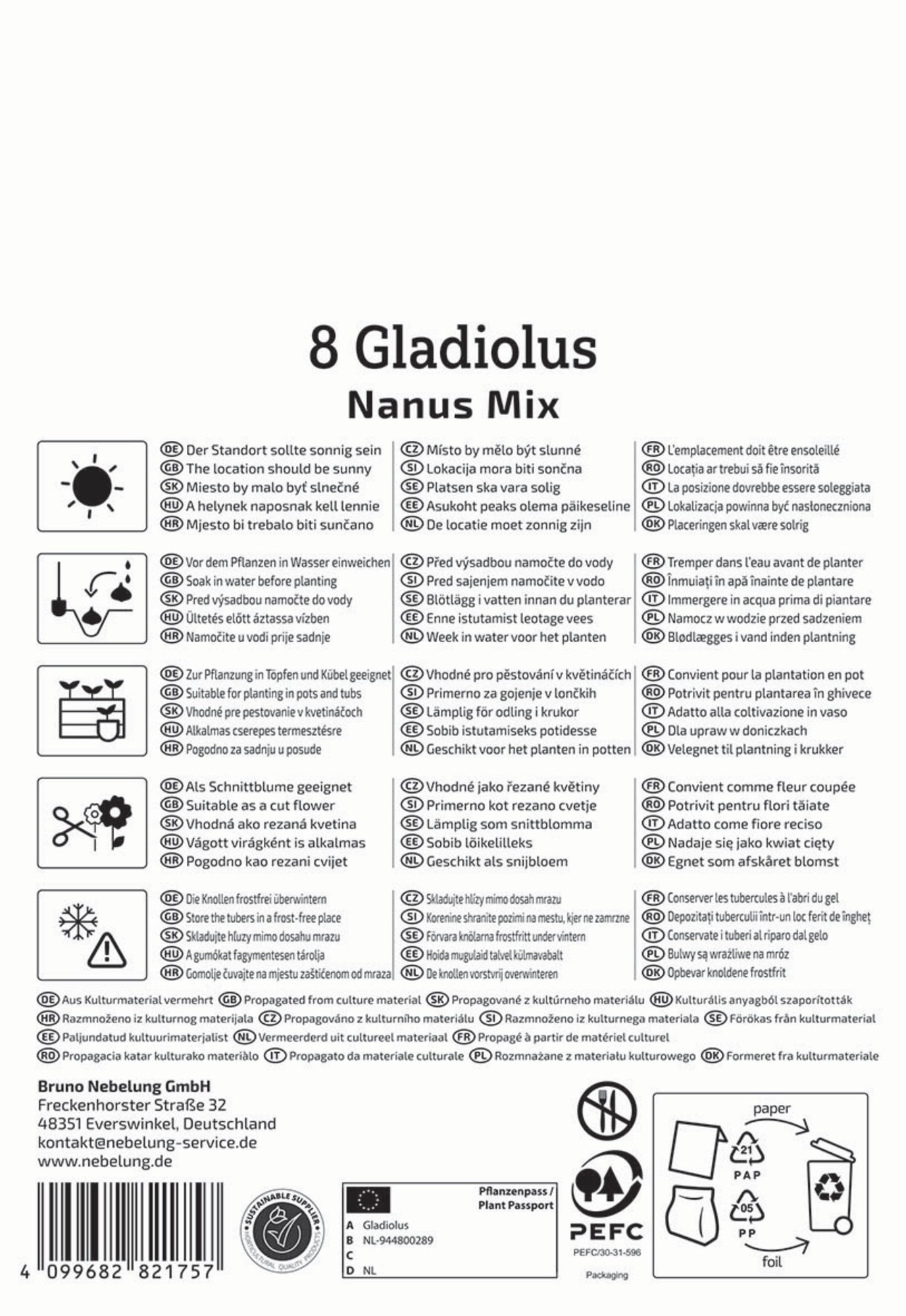 Kiepenkerl Frühjahrsblumenzwiebel Gladiole kleinblumige Mischung 8 Stück