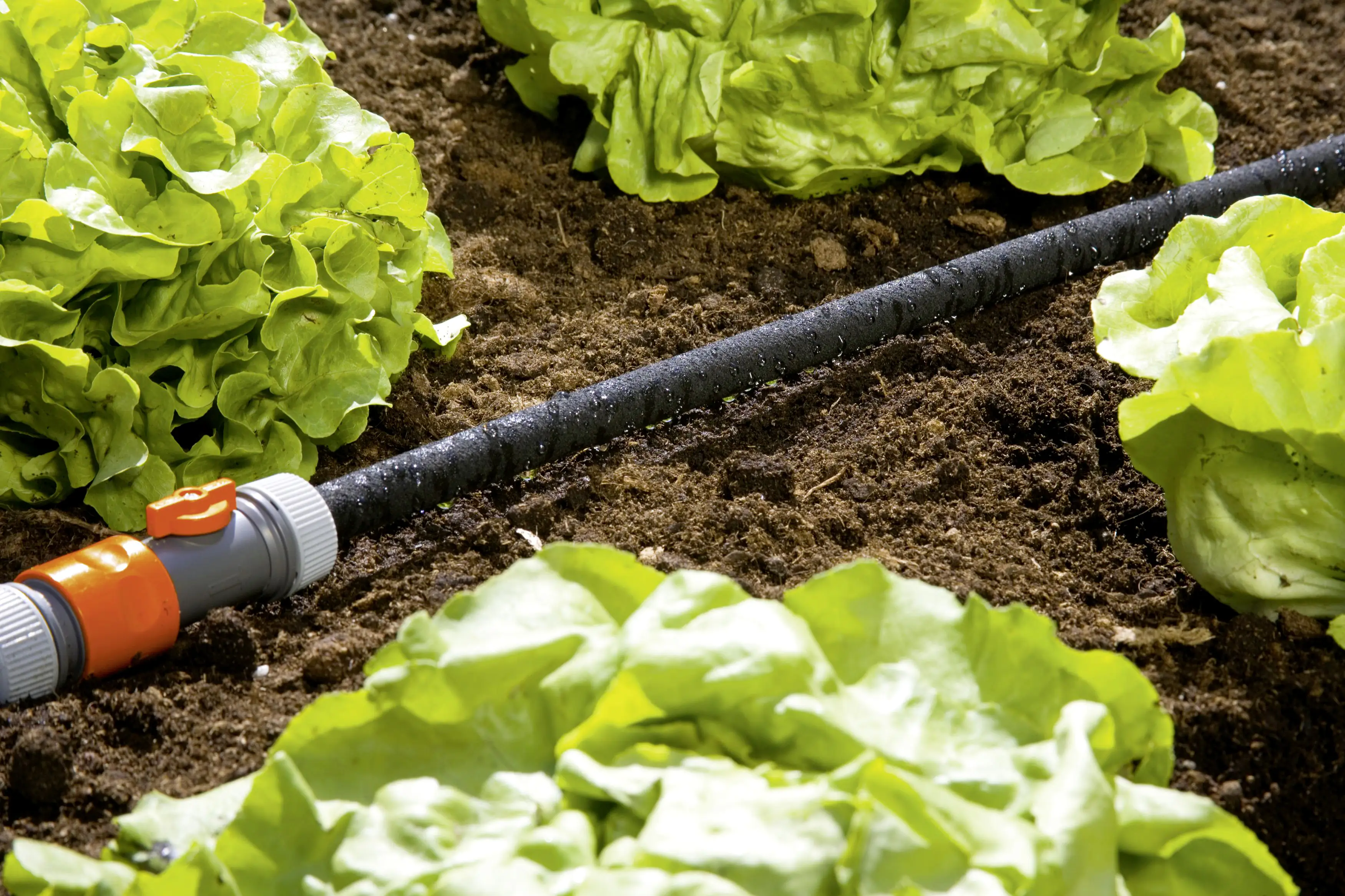 Gardena Perl-Regner 7,5 m