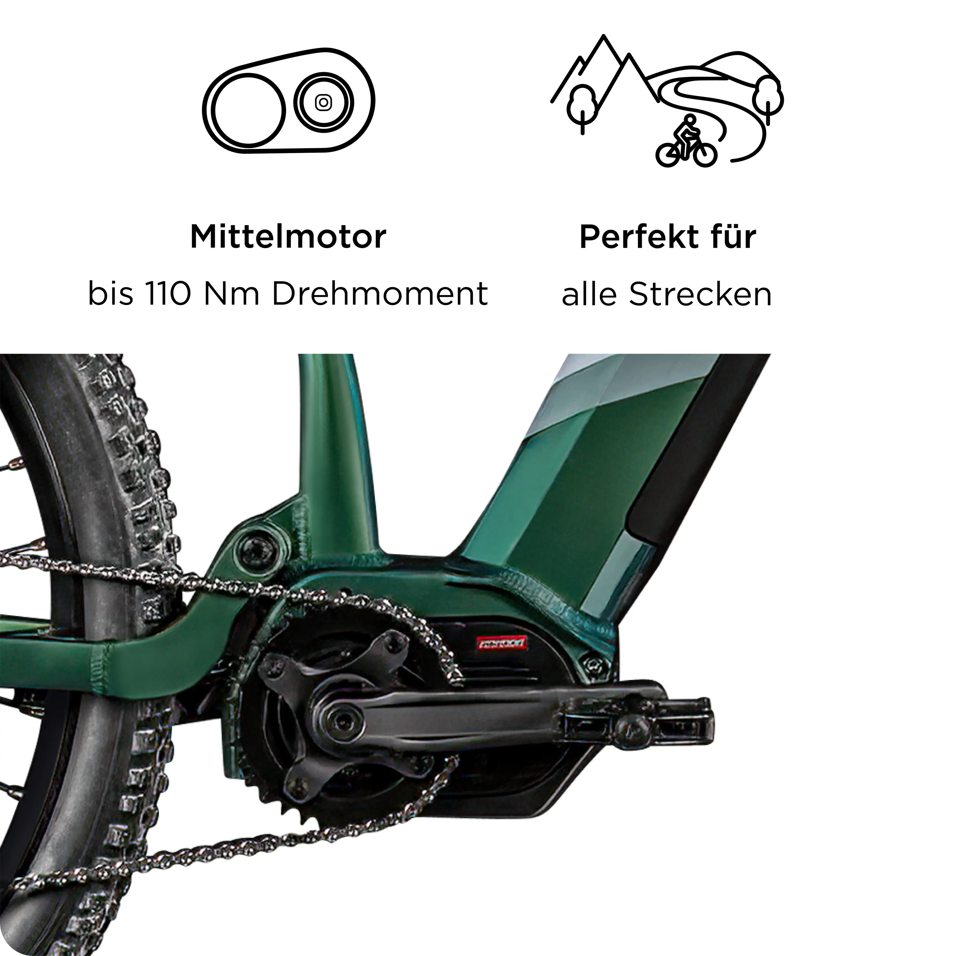 Zündapp E-Bike MTB X1000 29 Zoll 10-Gang 733,57 Wh sunlight magic	 Zündapp E-Bike MTB X1000 29 Zoll 10-Gang 733,57 Wh sunlight magic
