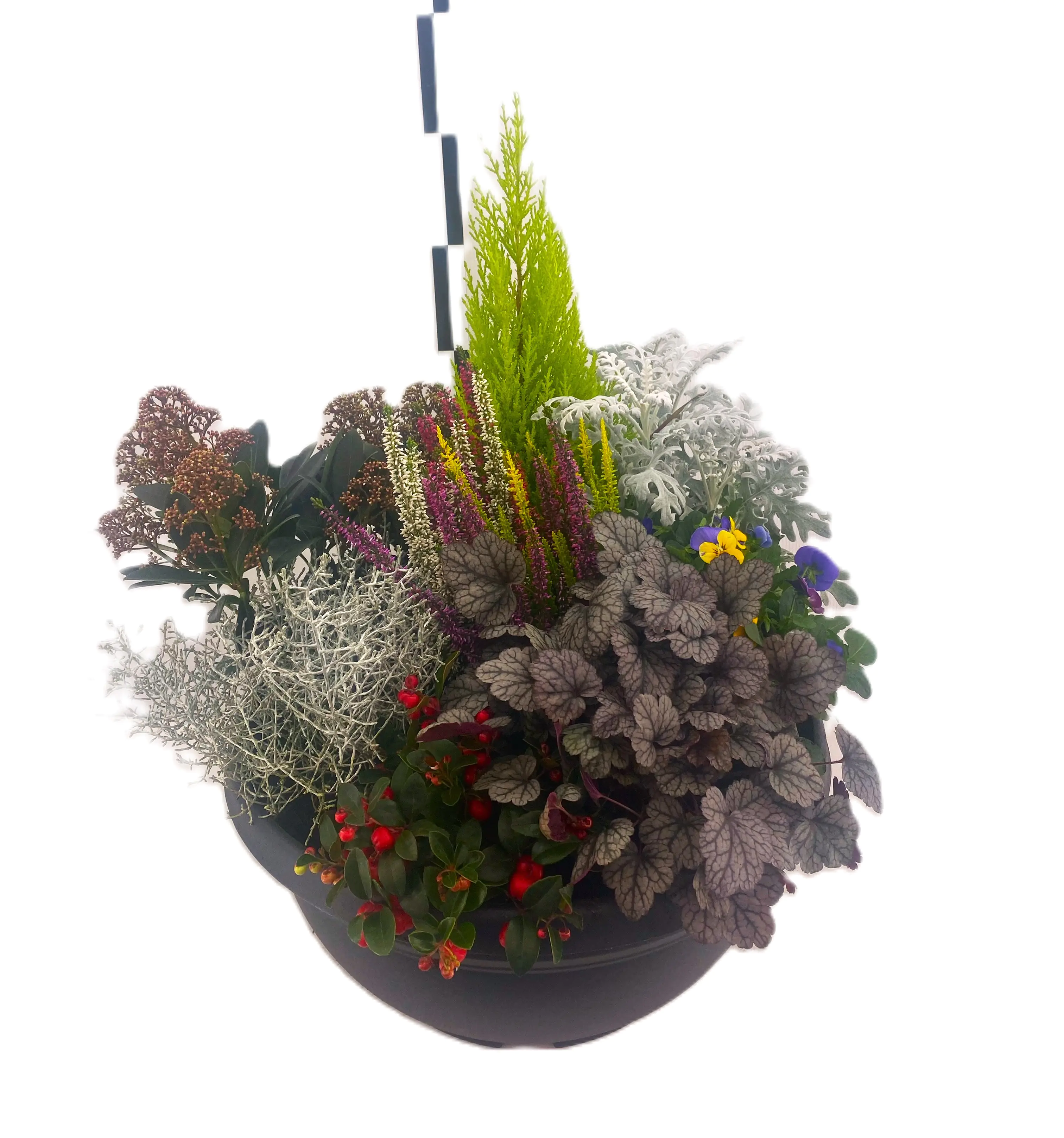 Arrangement Outdoor in anthraziter Schale 50cm saisonal bepflanzt