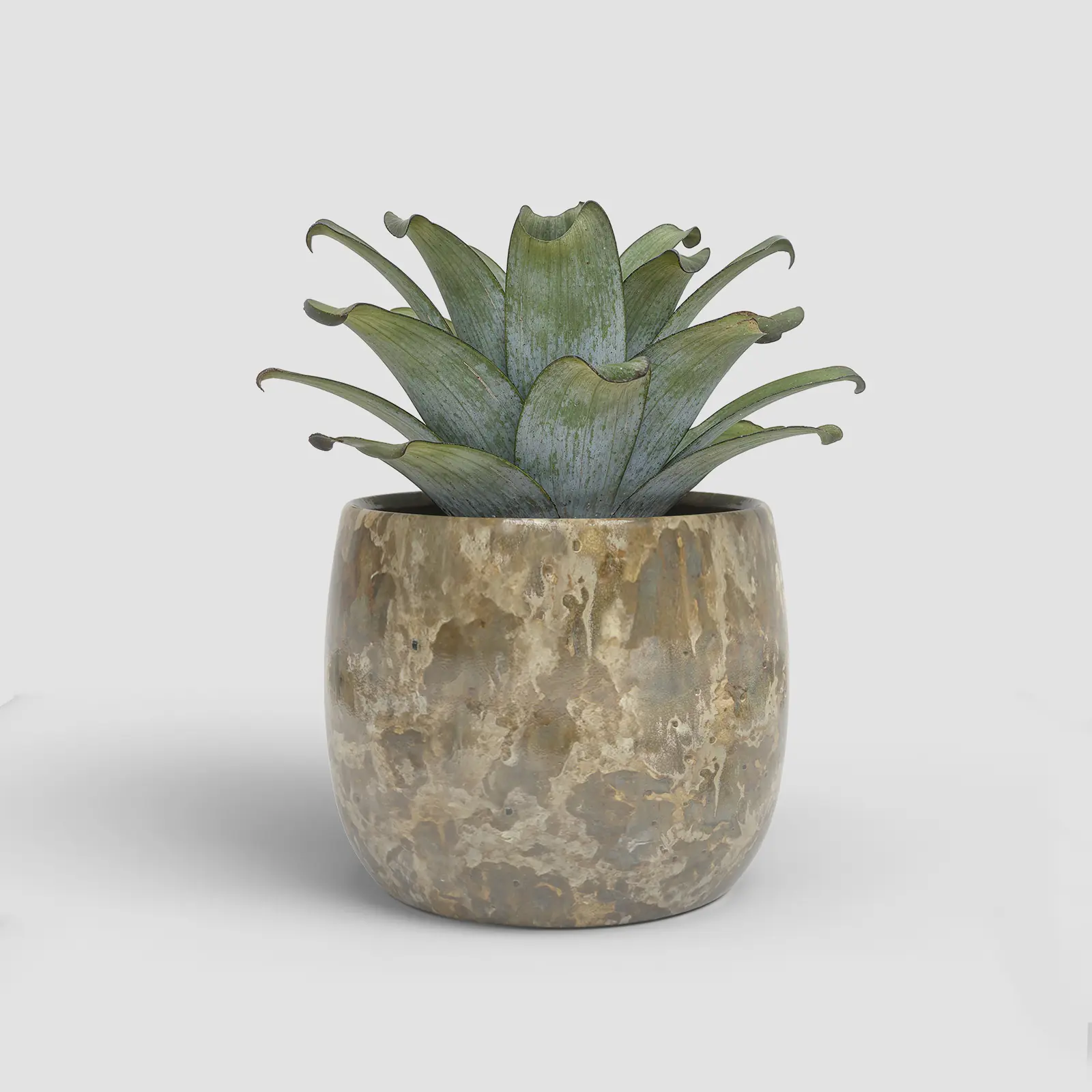 Artevasi Übertopf Callisto Keramik Ø 31 x 29 cm goldgrün