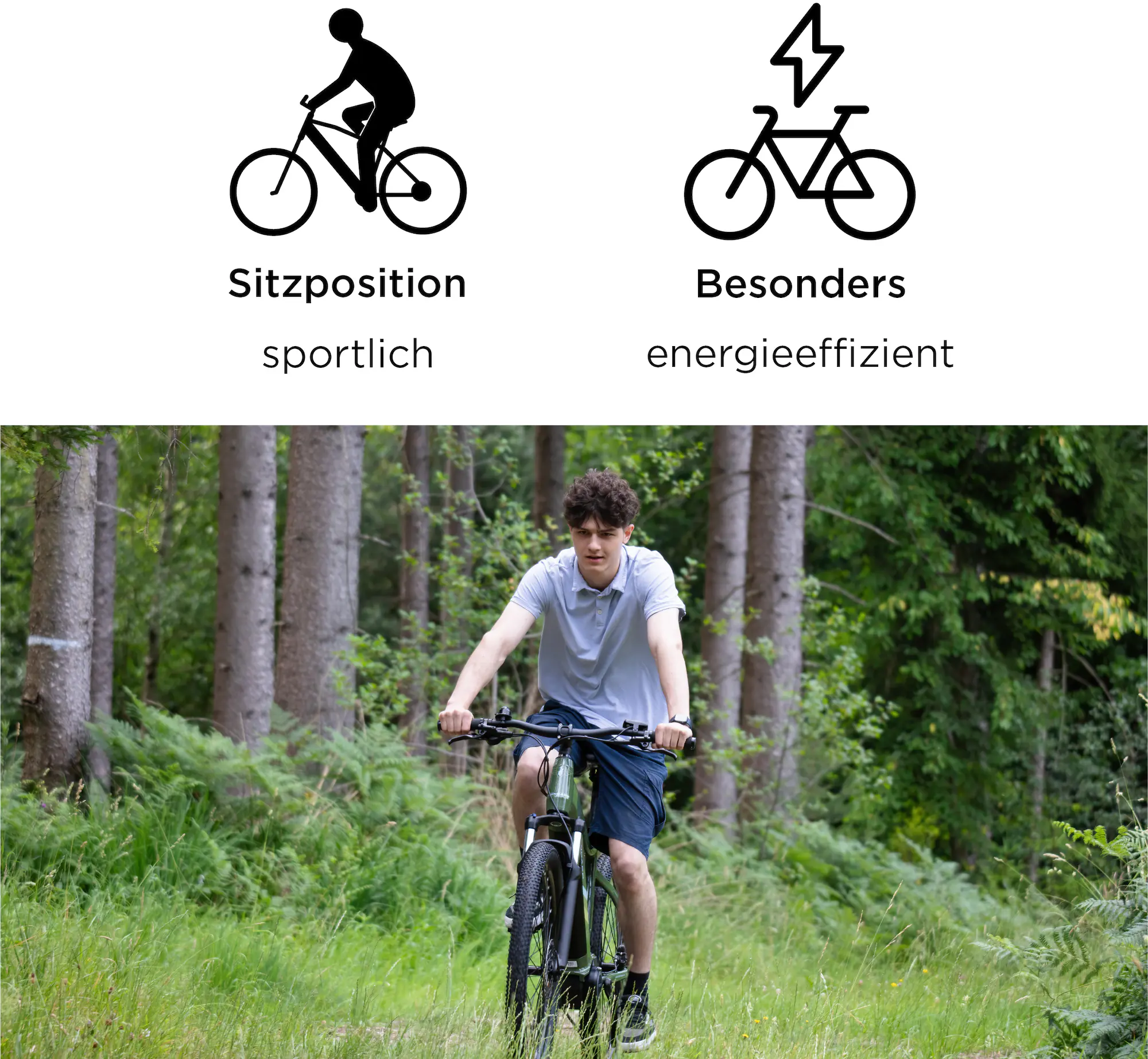 Zündapp E-Bike MTB X900 27,5 Zoll 10-Gang 733 Wh schwarz Zündapp E-Bike MTB X900 27,5 Zoll 10-Gang 733 Wh schwarz