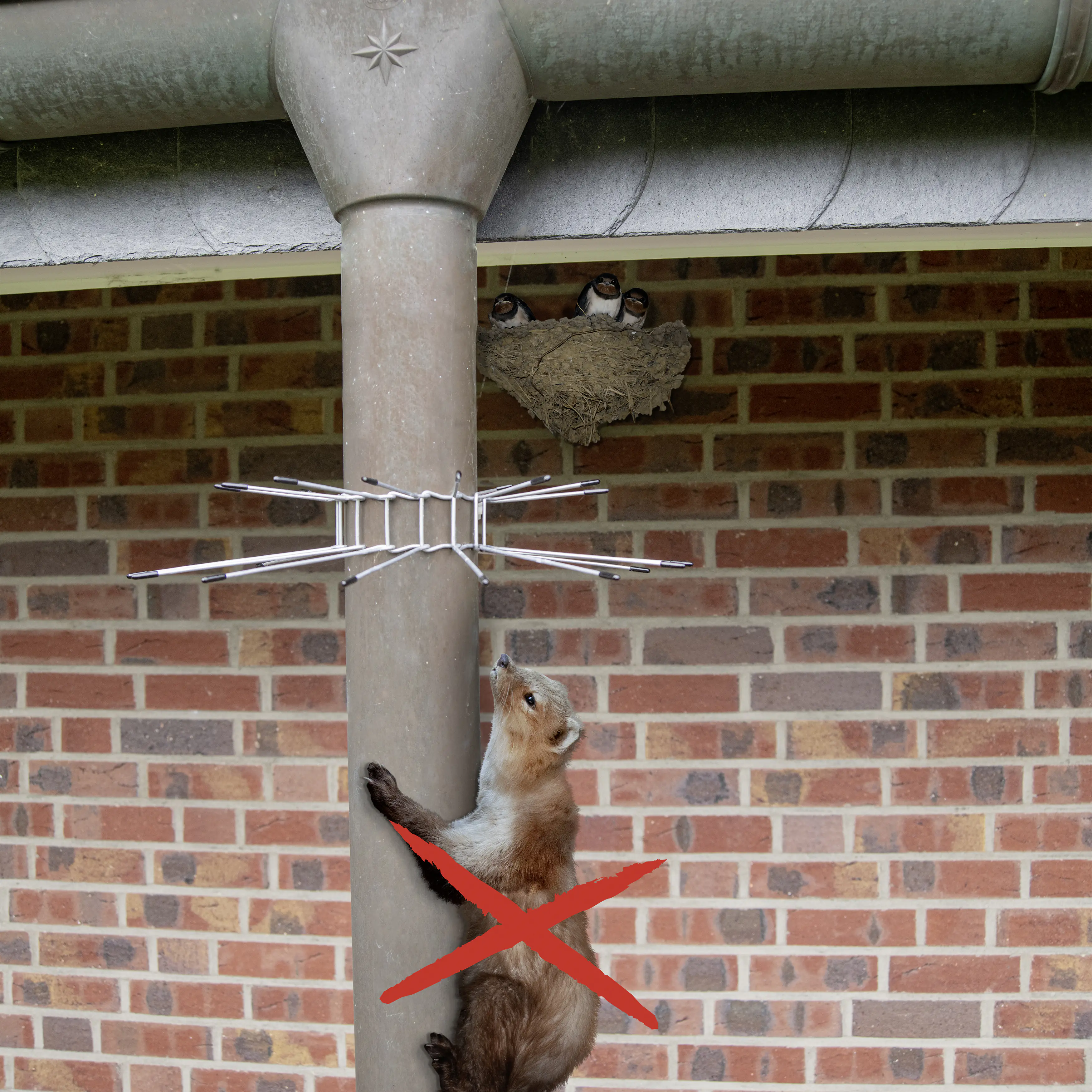 Gardigo Marderabwehrgürtel 2er Set für Fallrohre
