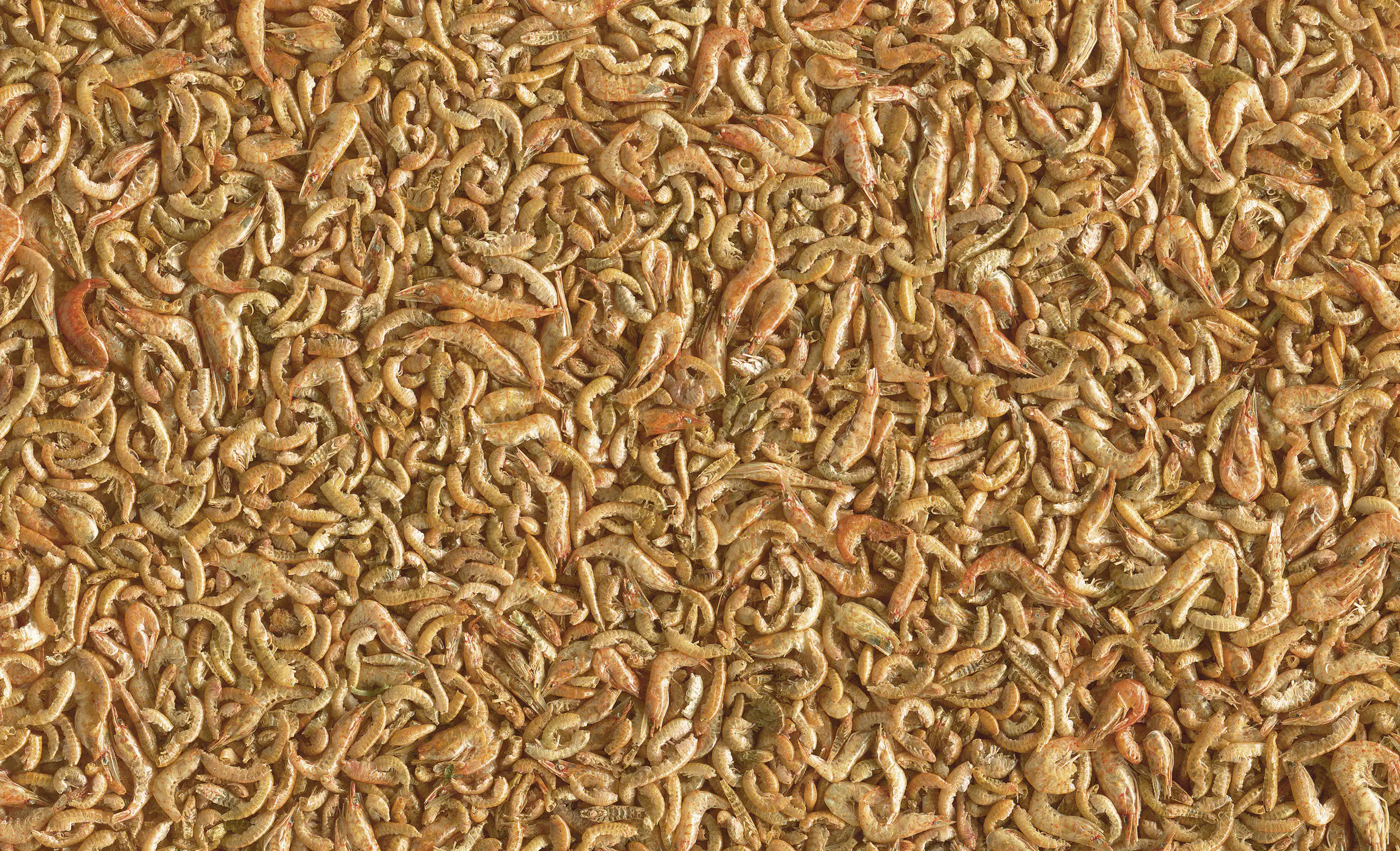 Tetra Pond Shrimp Mix 1 L Tetra Pond Shrimp Mix 1 L