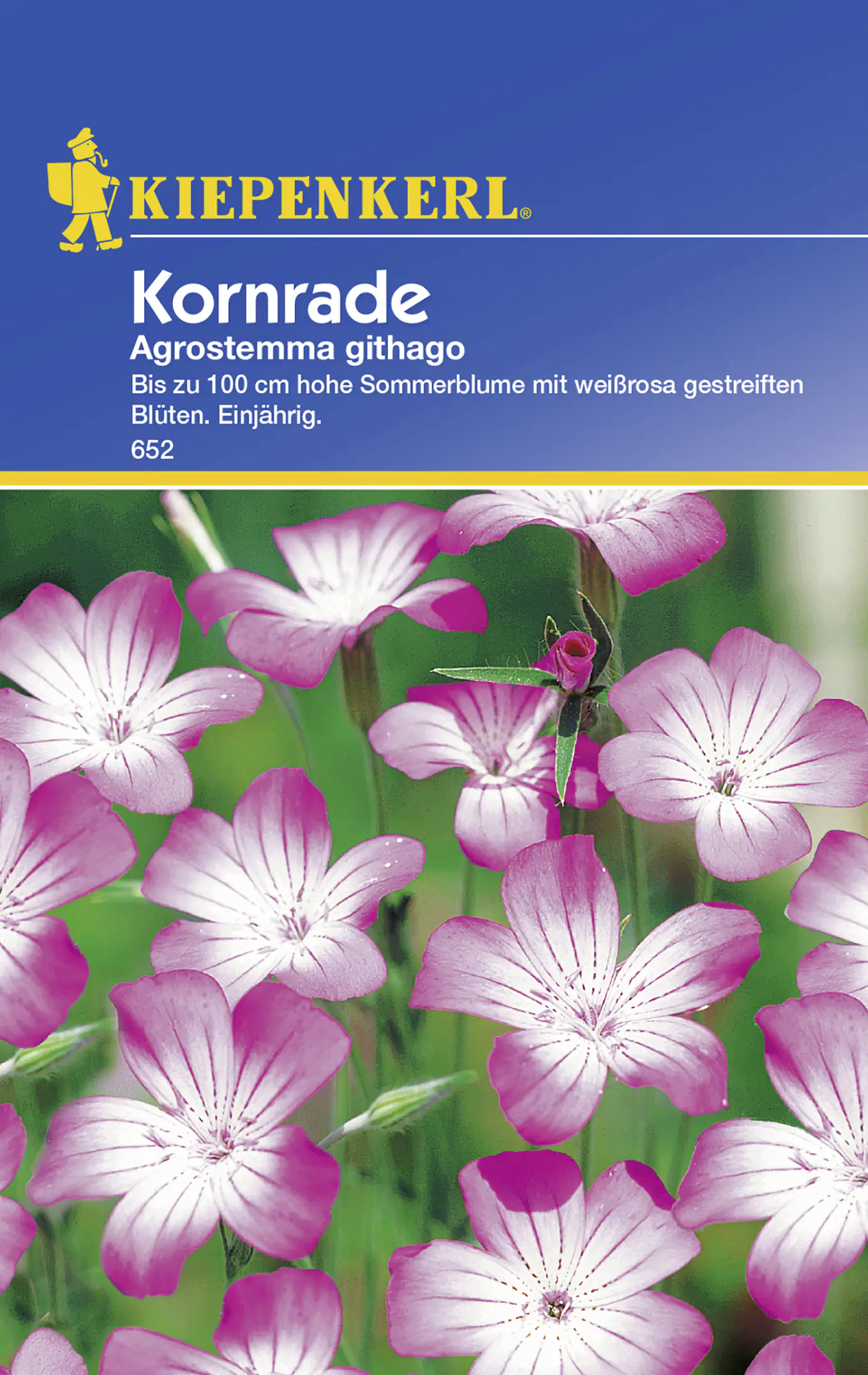Kiepenkerl Kornrade Agrostemma githago, Inhalt: ca. 50 Pflanzen