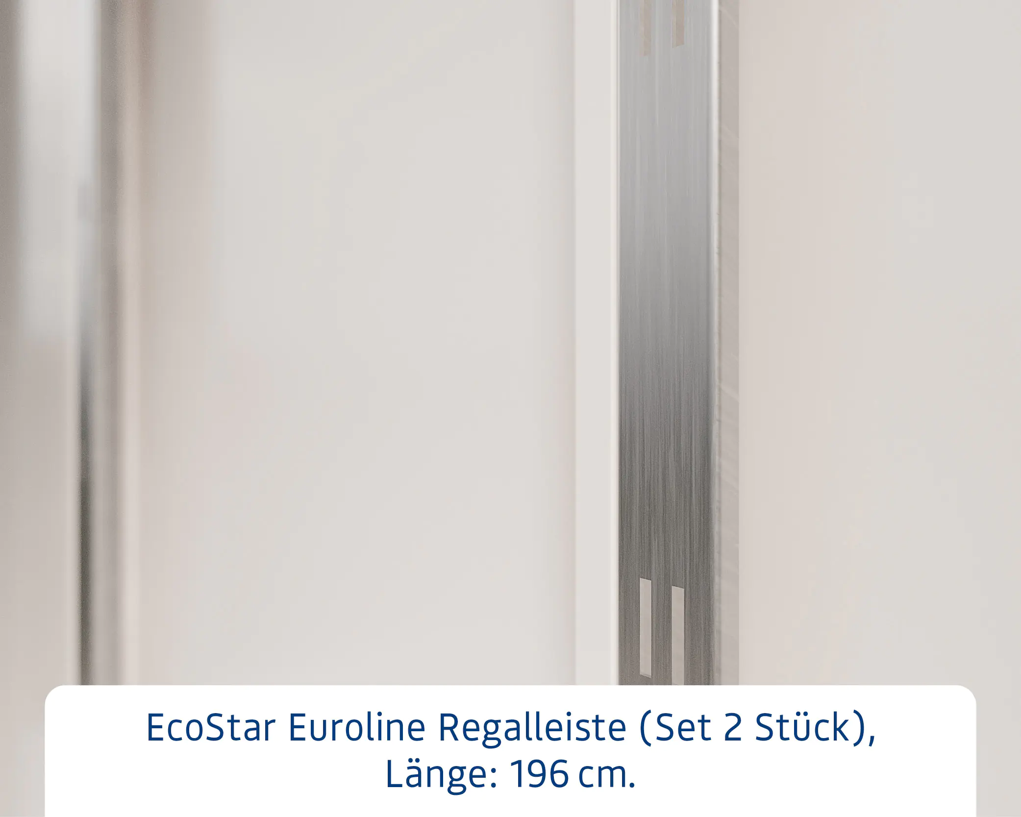 EcoStar Regalleiste für Gerätehaus