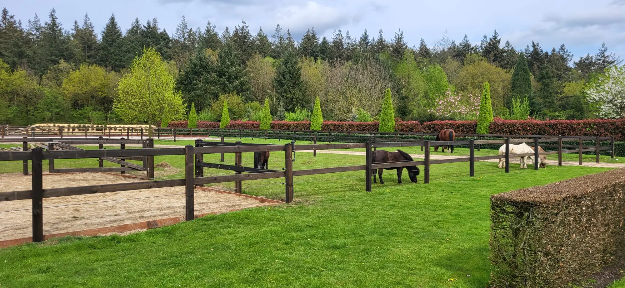 Rundpfahl Koppelzaun 2-reihig Höhe 134-149 cm 150 lfm