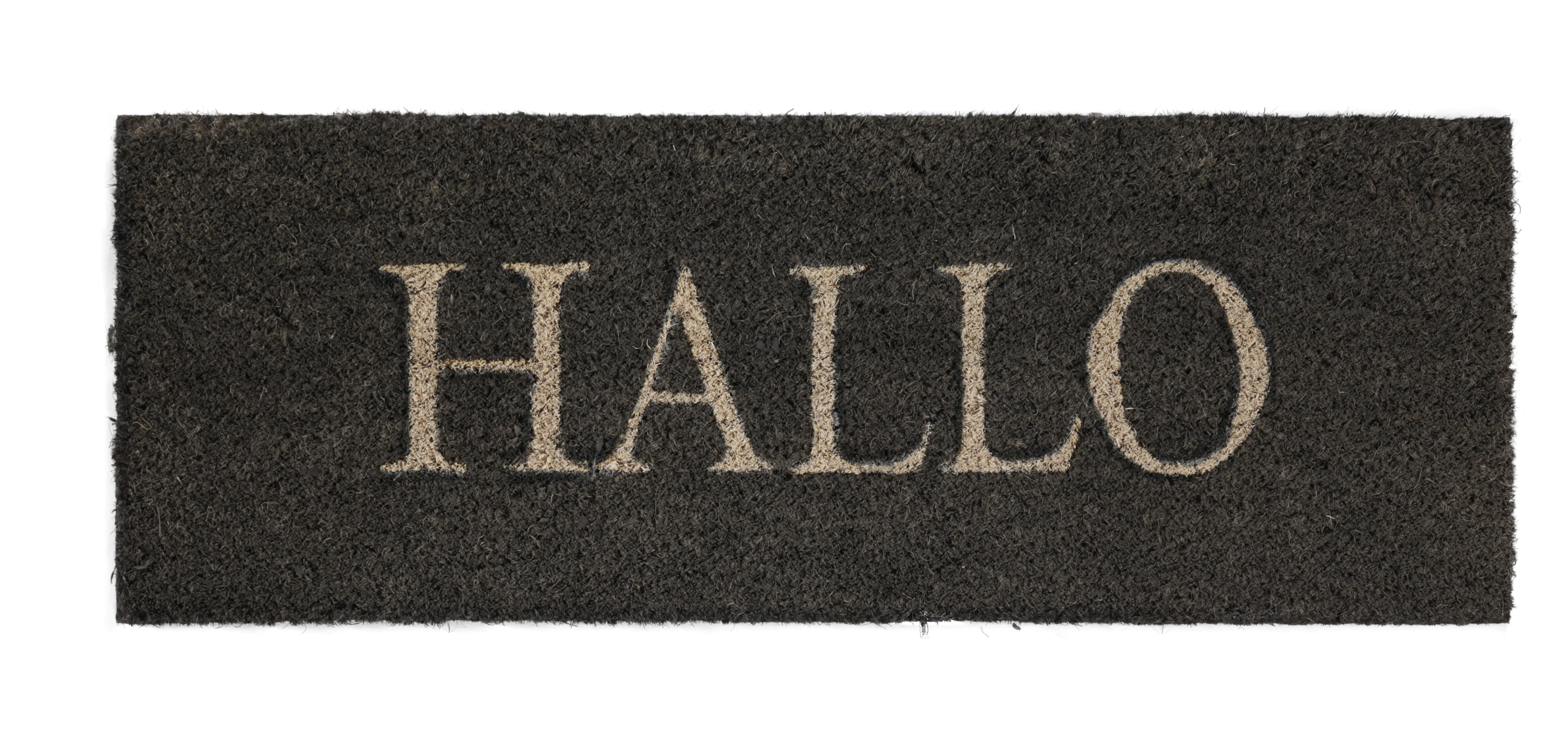 4002398196316 Fußmatte Hallo Kokos grau, 26 x 75 cm