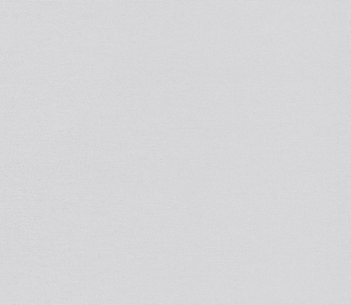 4000599003839_3 Erfurt Vliesfaser Maxx Economy Flax 100 weiß 12,5 x 0,53 m