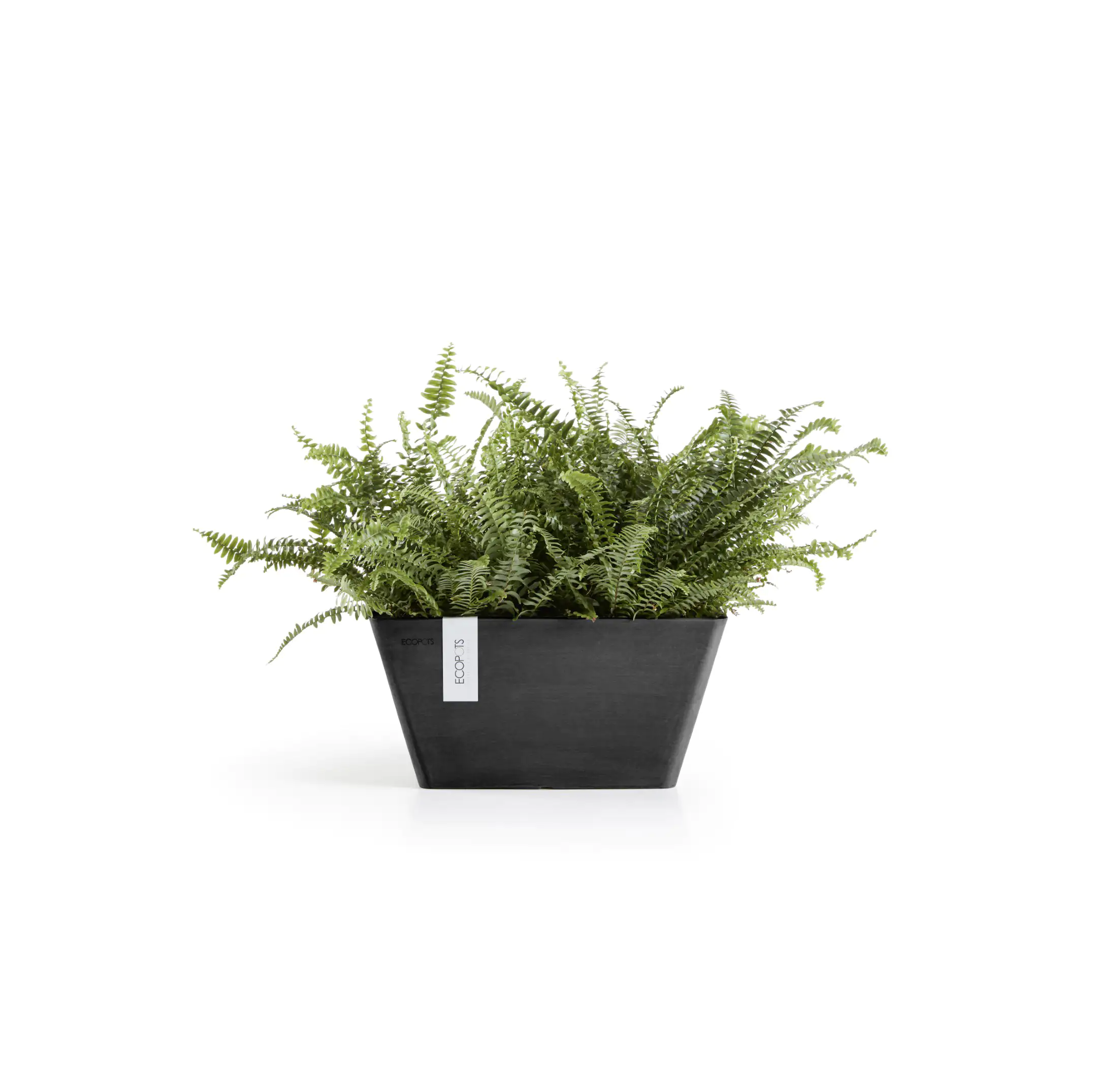 Ecopots Pflanztopf Berlin 25 x 25 x 12,8 cm dunkelgrau